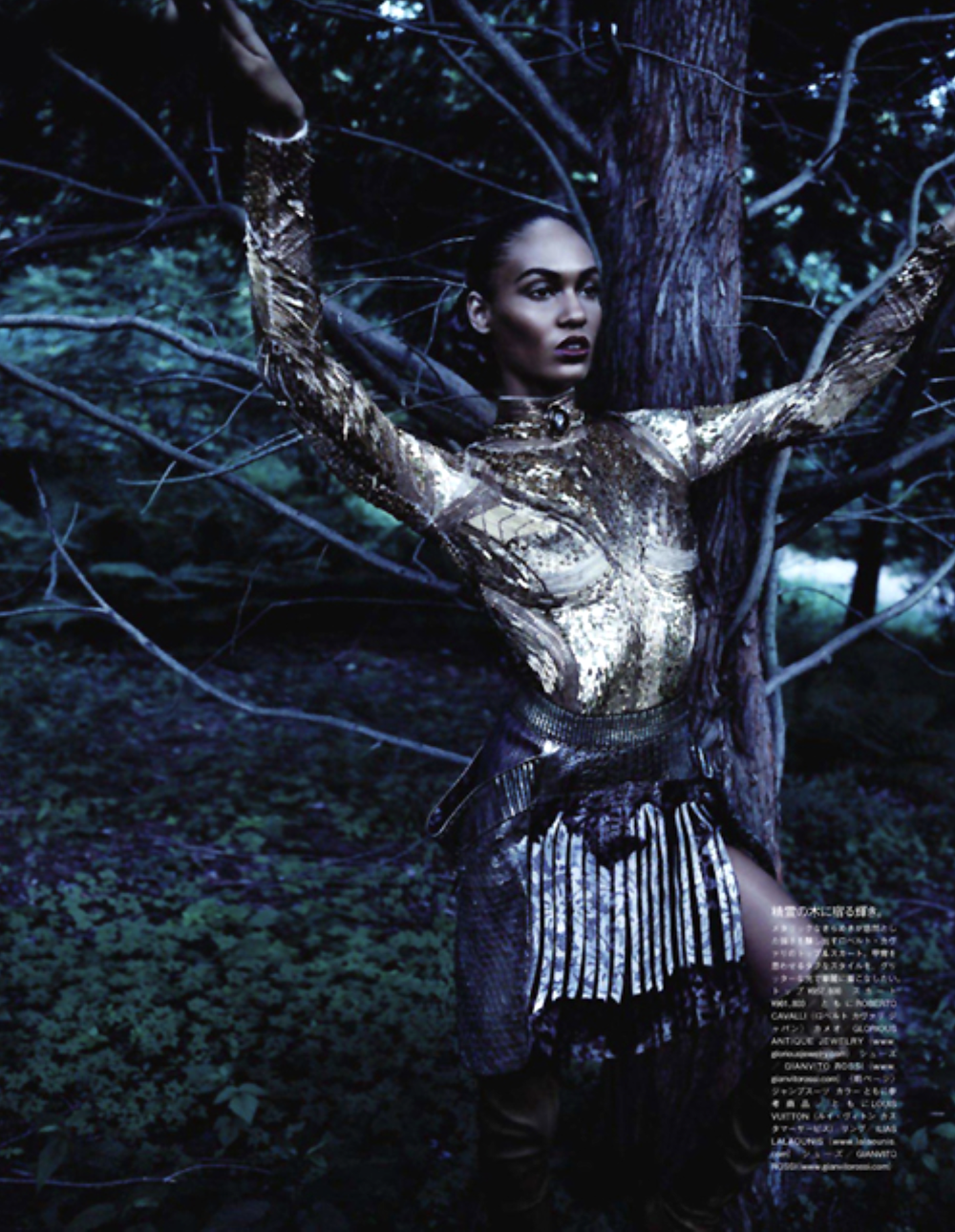 Joan-Smalls-by-Solve-Sundsbo-Vogue-Nippon-December-2011-7.png