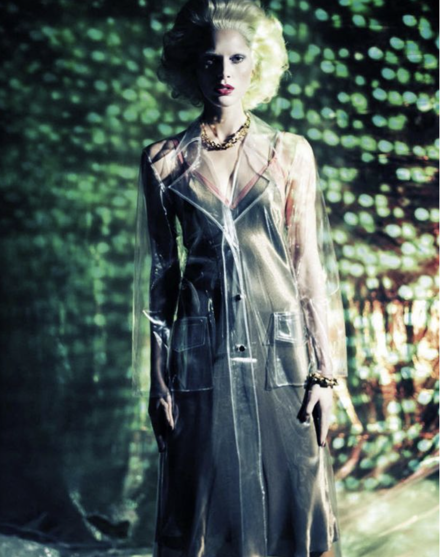 Iselin-Steiro-by-Paolo-Roversi-Vogue-Italia-December-2012-8.png