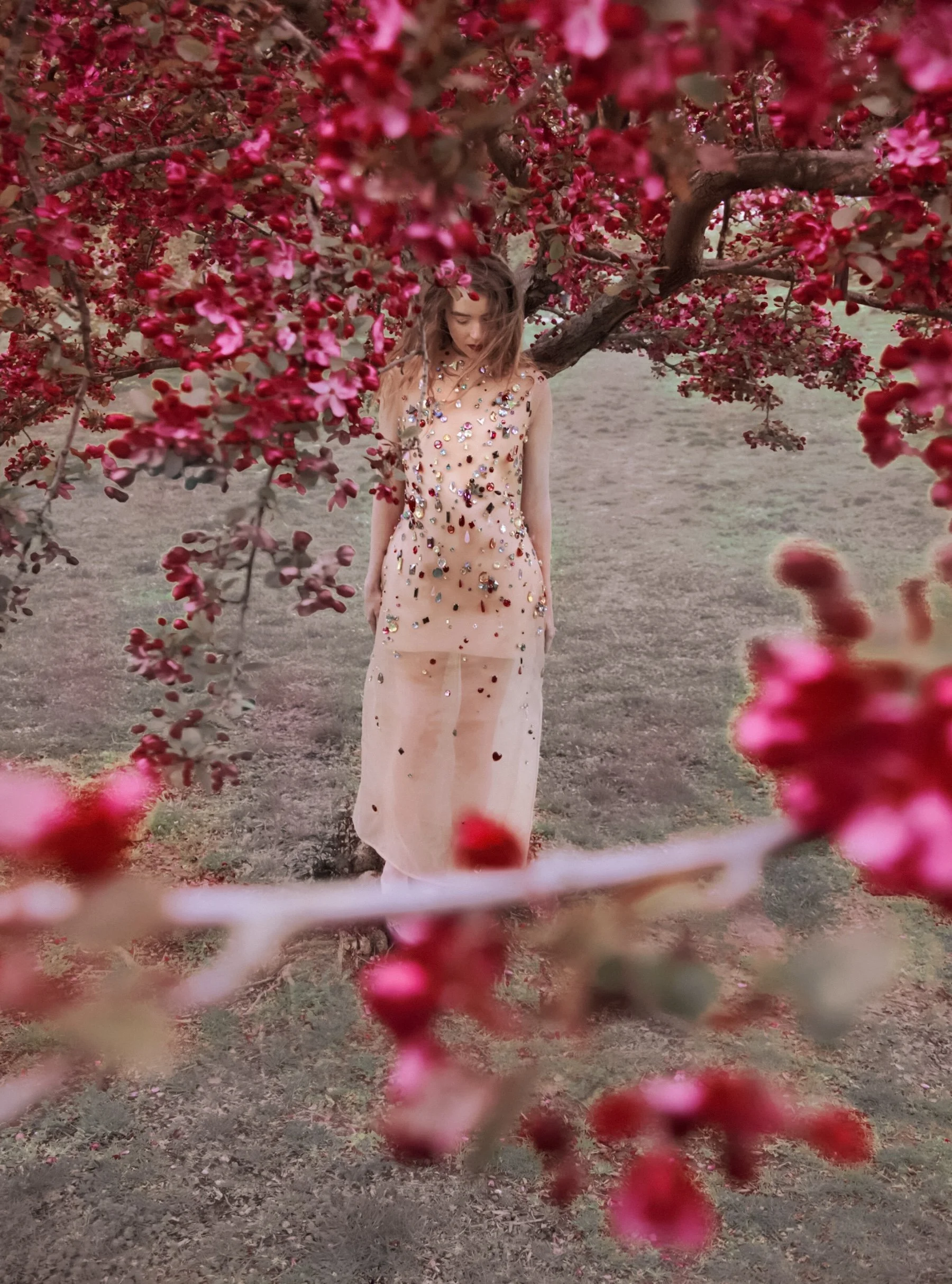 'Romance of the Forest' by Erik Madigan Heck for Harper's Bazaar UK June 2024