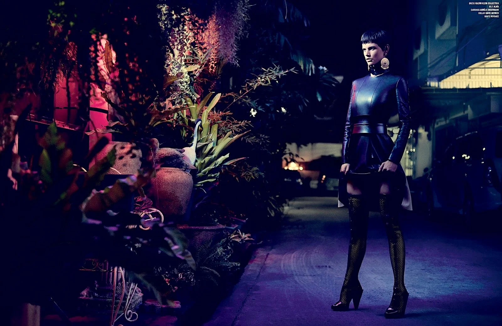 Saskia-De-Brauw-by-Nathaniel-Goldberg-for-V-79-Fall-2012-3.jpg