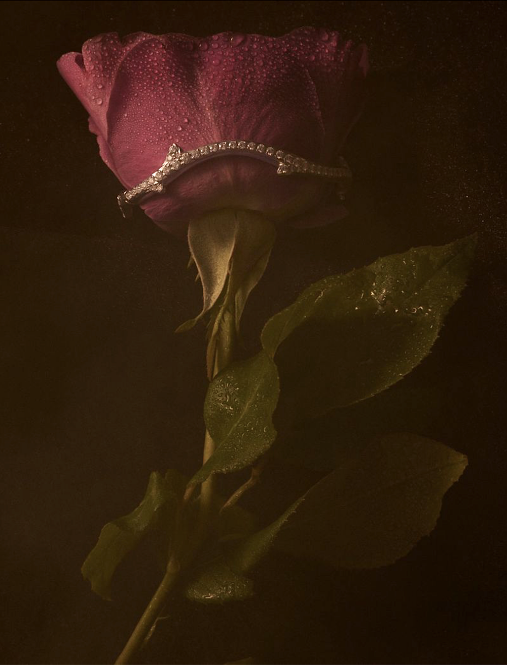 #Dior48-by-Elina-Kechicheva-December-2024-6.png
