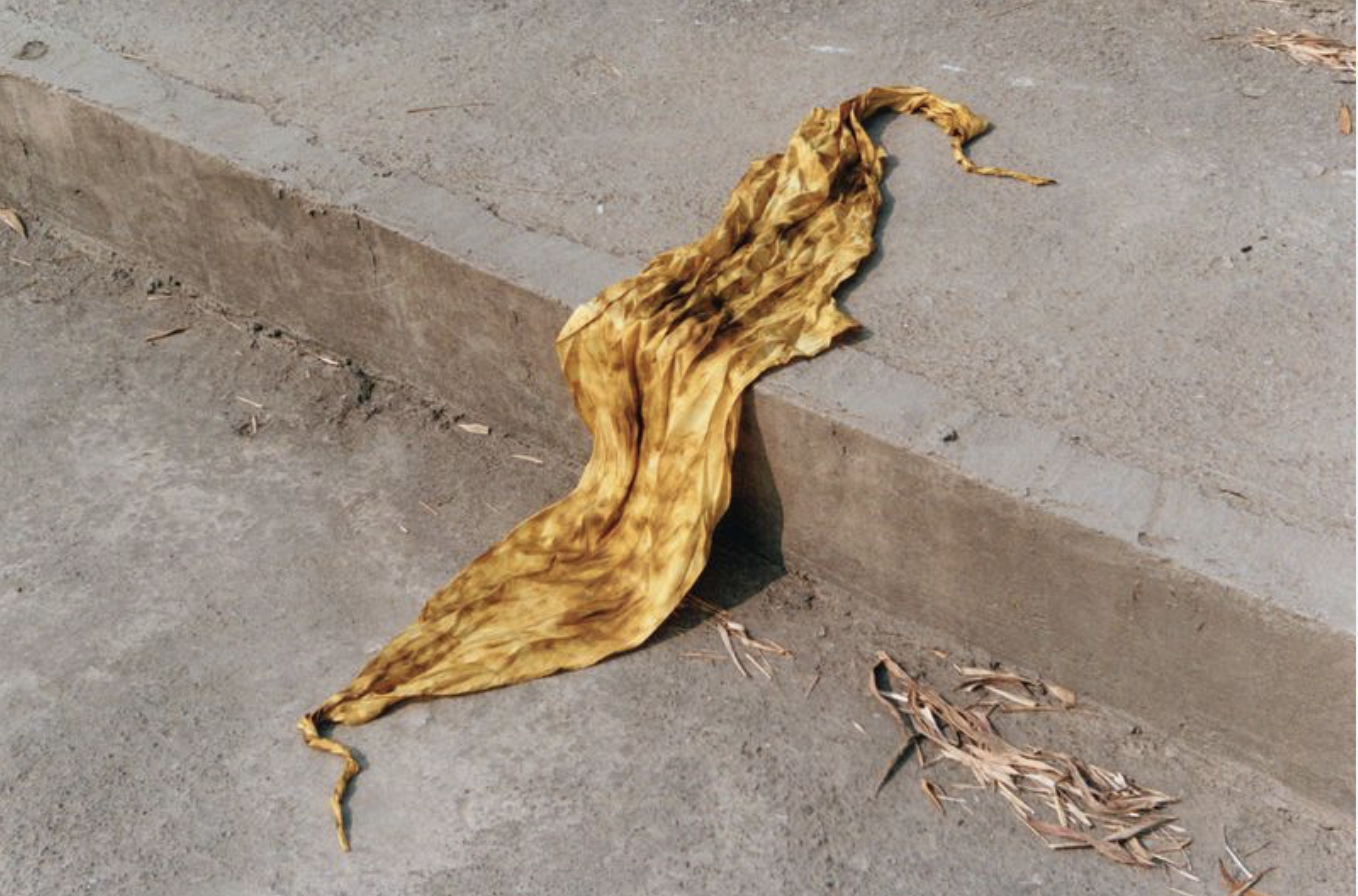 Zara-x-Fanglu-Lin-Collection-April-2025-by-Chris-Rhodes-11.png