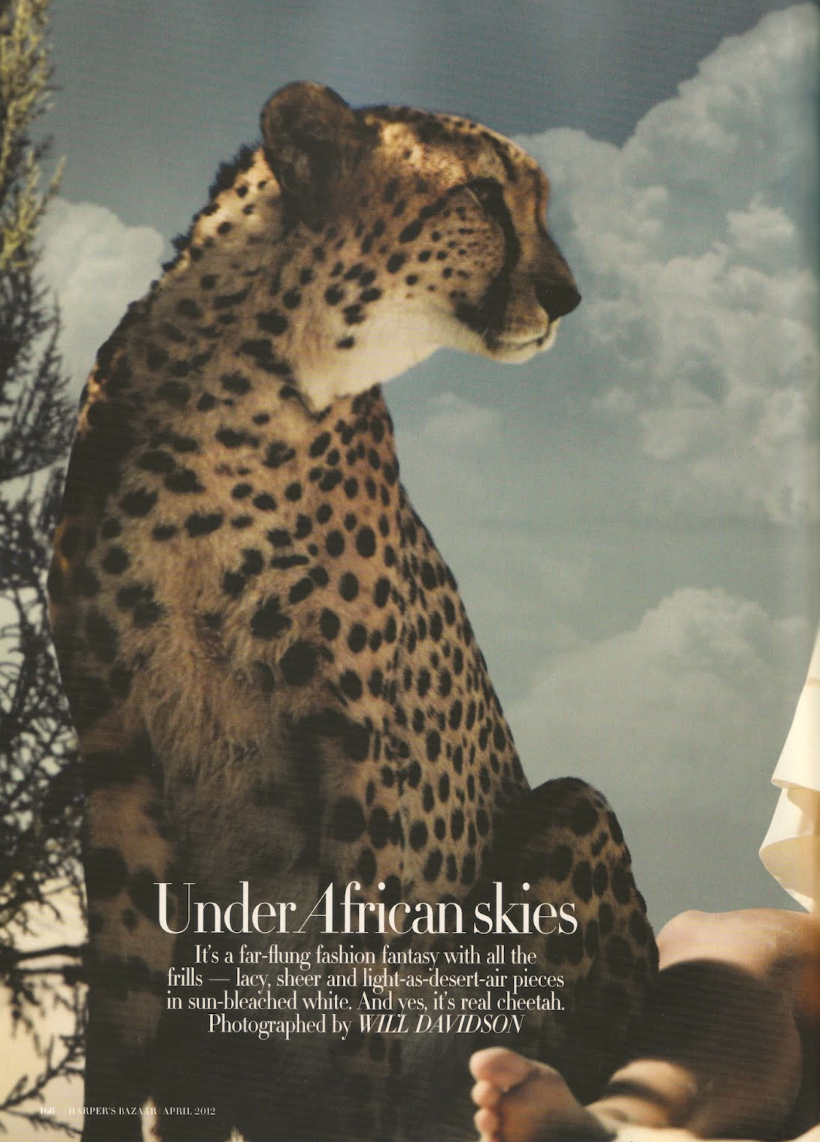 Marloes-Horst-by-Will-Davidson-for-Harper's-Bazaar-Australia-April-2012-7.png