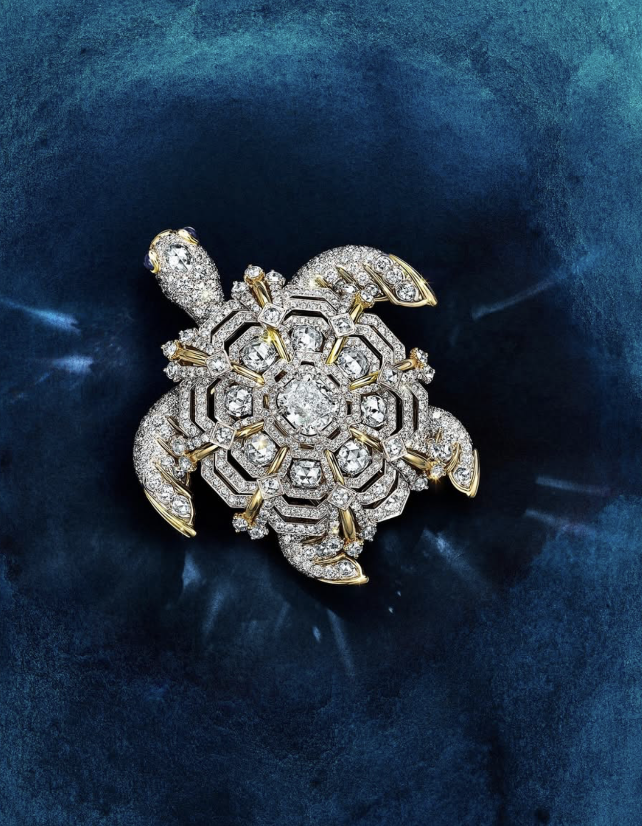 S-Stella-Hanan-by-Carlijn-Jacobs-Tiffany-Blue-Book-2025-16.png