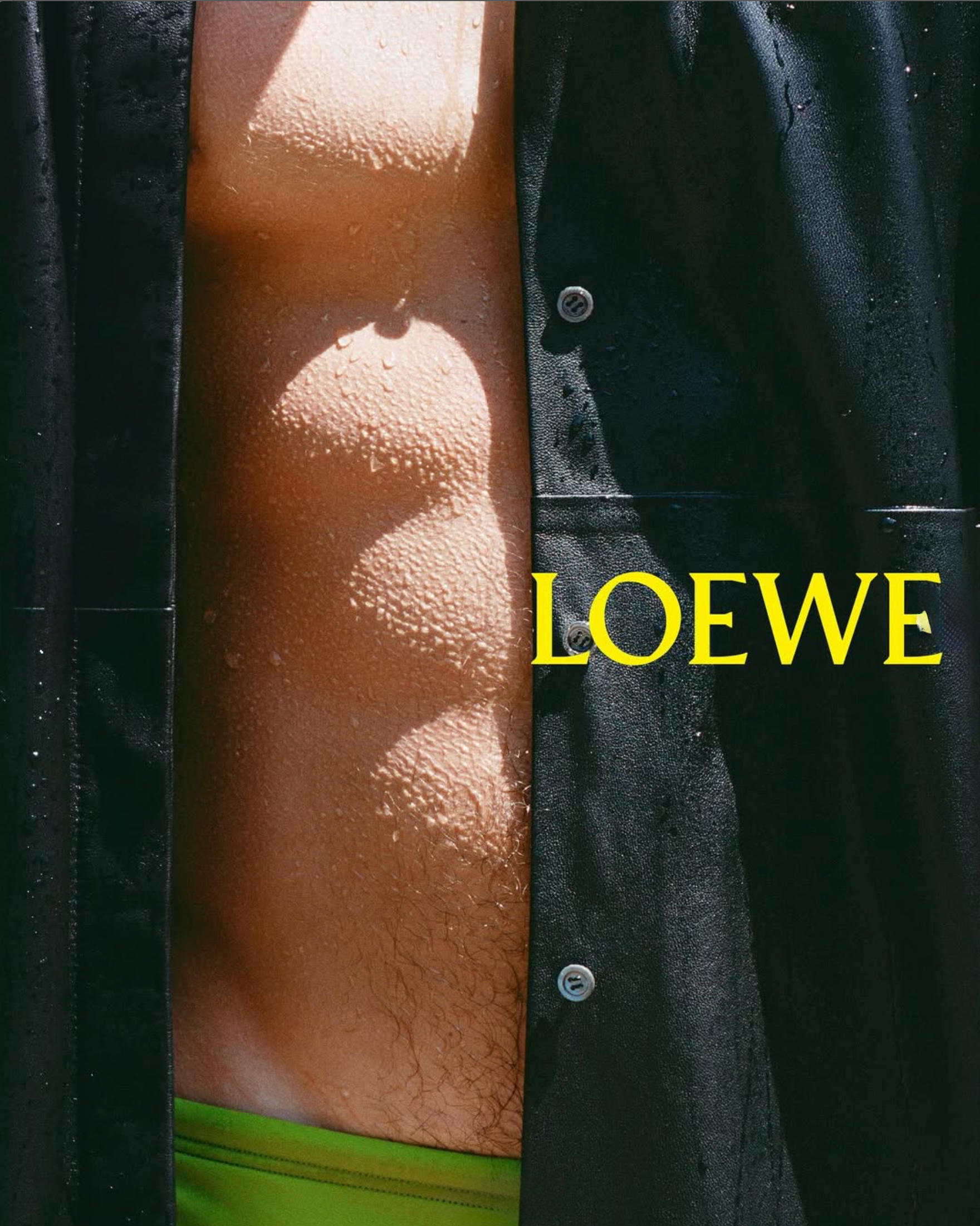Loewe-Spring-2026-Teaser-September-2025-10.png