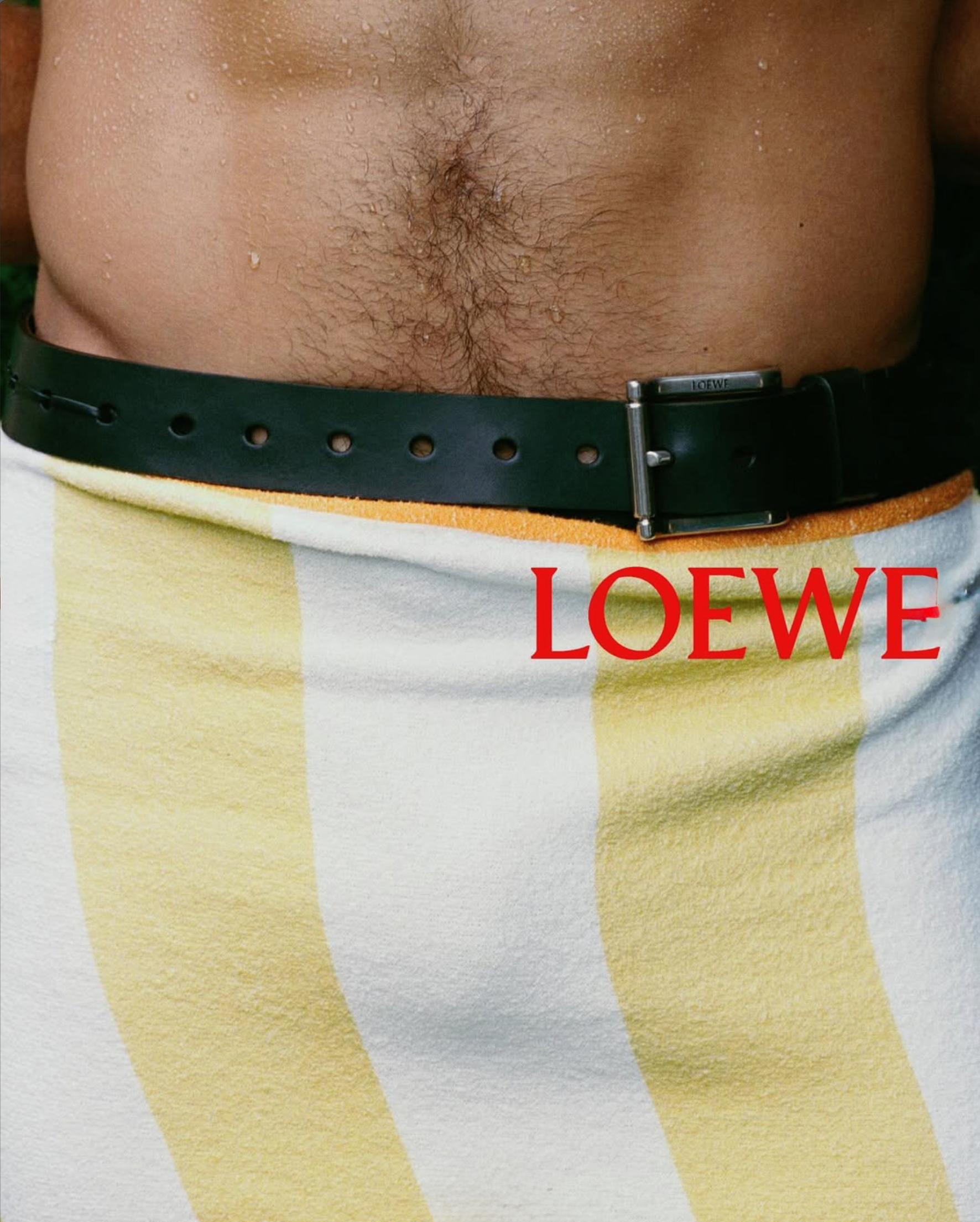 Loewe-Spring-2026-Teaser-September-2025-7.png