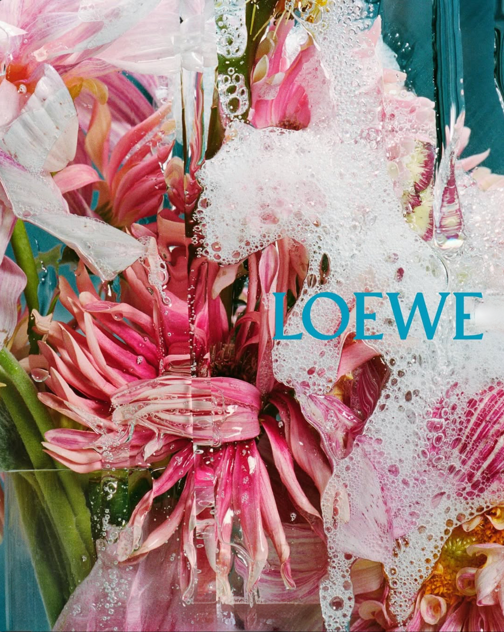 Loewe-Spring-2026-Teaser-September-2025-1.png