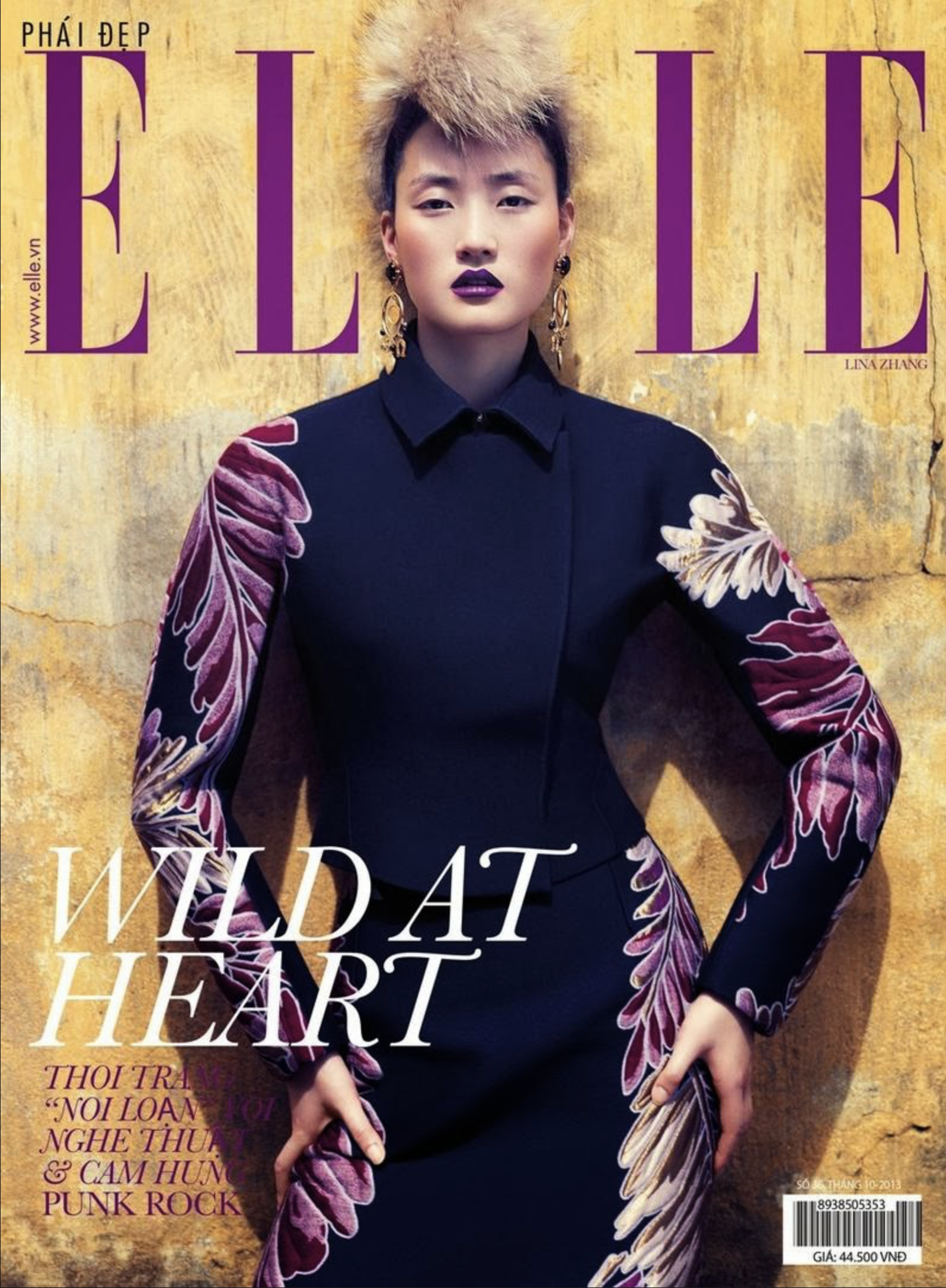 Lina-Zhang-by-Stockton-Johnson-ELLE-Vietnam-October-2013-2.png