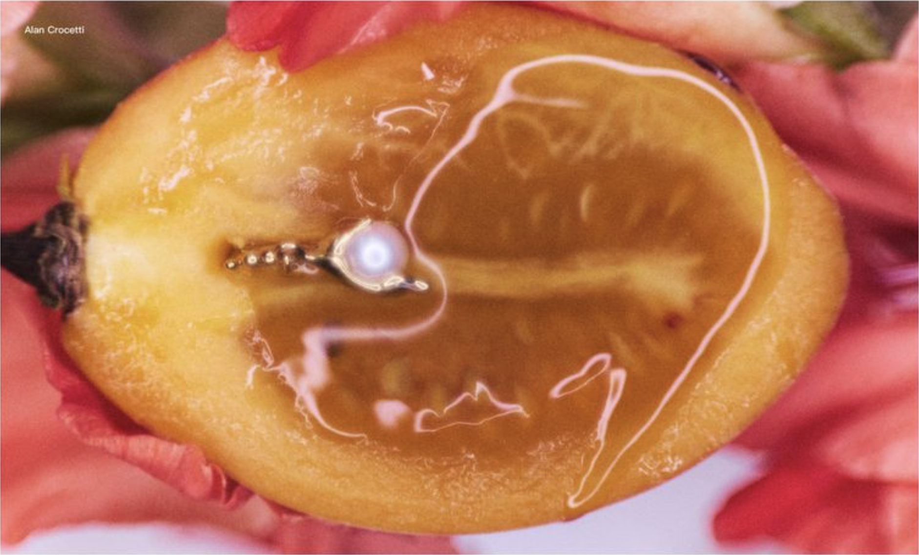 Alina-Gross-'Craving'-Jewelry-Story-for-Gorila-Spain-October-2025-2.png