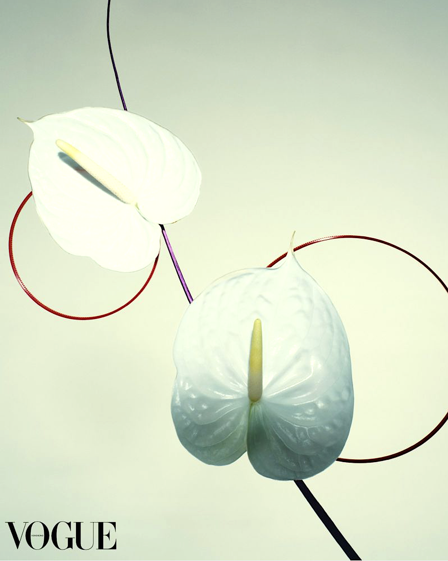 Yang-Zi-by-Leslie-Zhang-Vogue Hong-Kong-January-2026-12.png