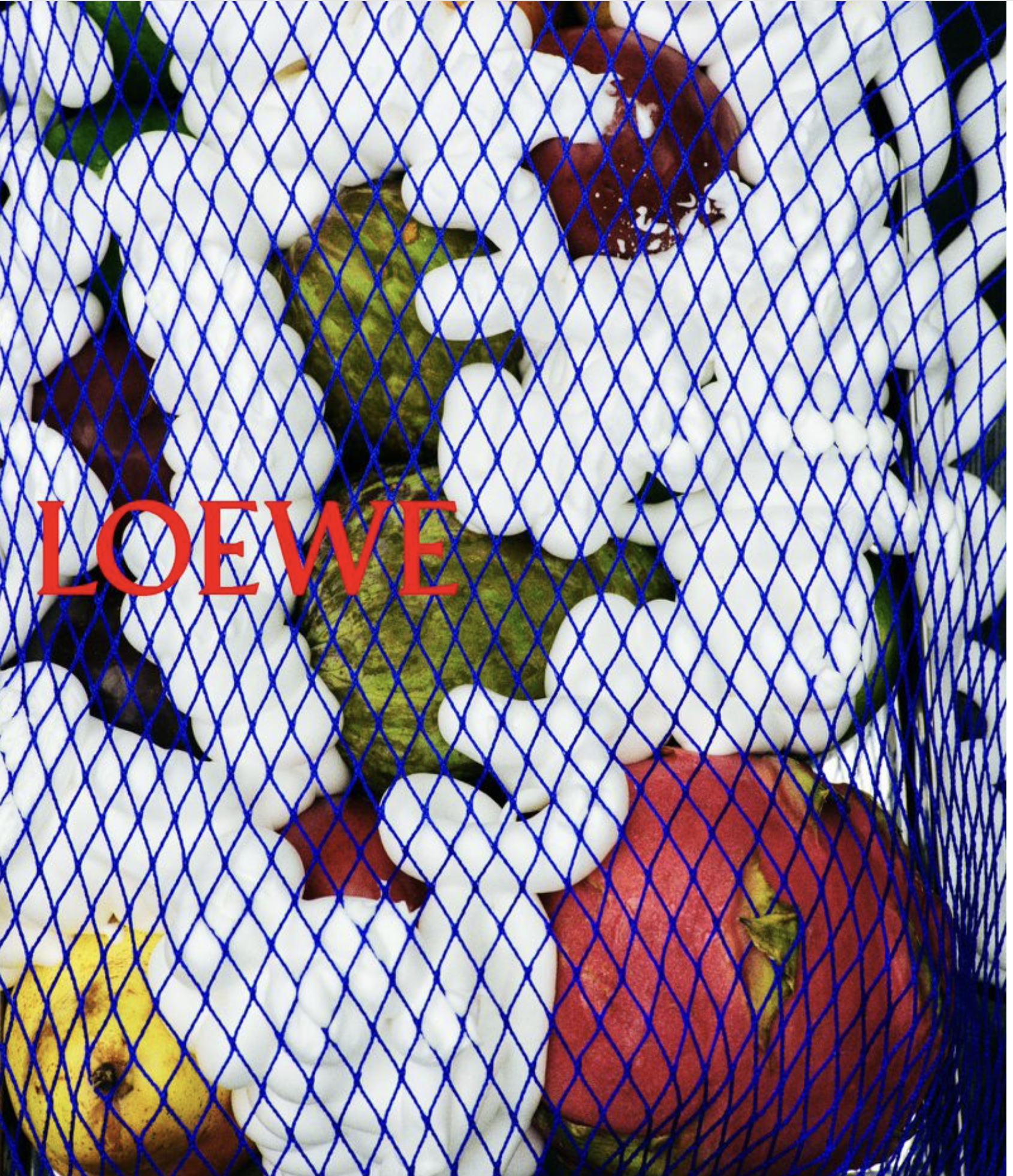 Loewe-SS-2026-Campaign-by-Talia Chetrit-24.png