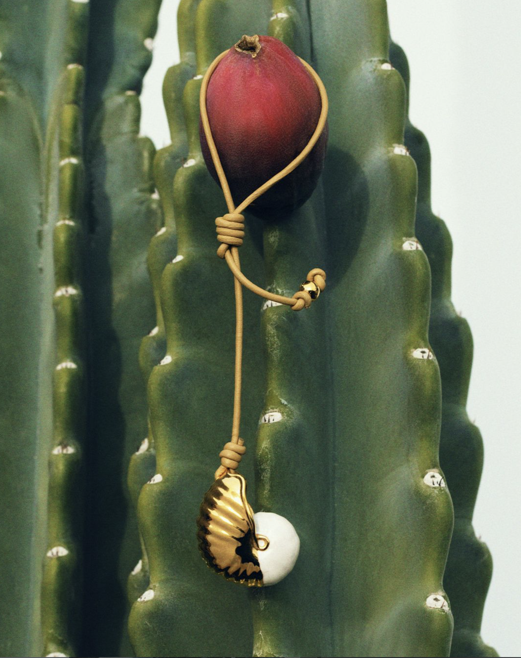 Loro-Piana-Resort-2026-Campaign-by-Annemarieke-Van-Drimmelen-20.png