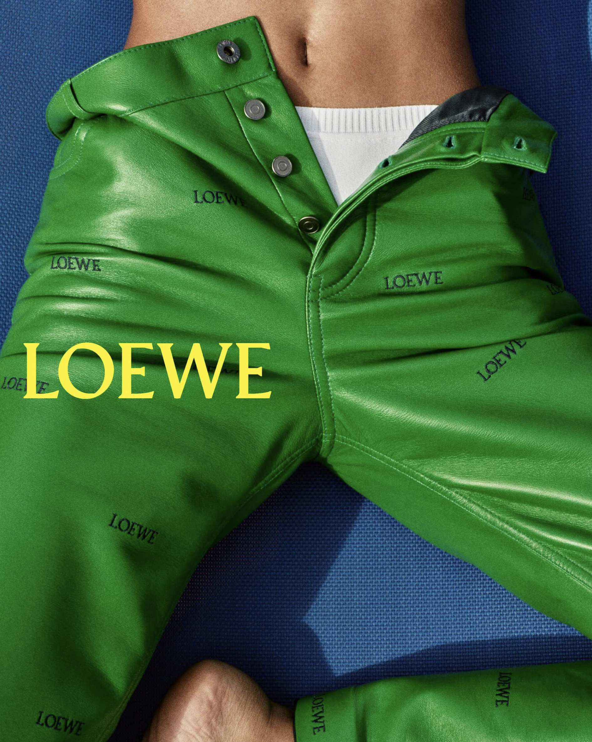 Loewe-Pre-Fall-2026-by-Talia-Chetrit-28.png