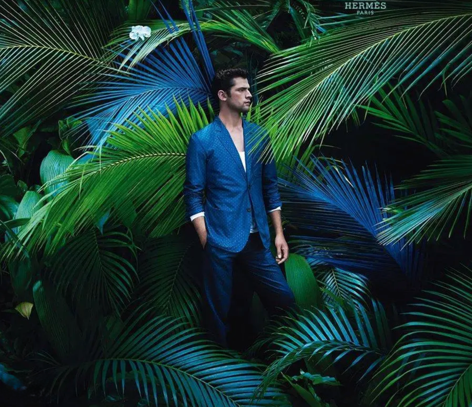 Hermes-Spring-Summer-2014-Campaign-by-Hans-Sylvester-8.png