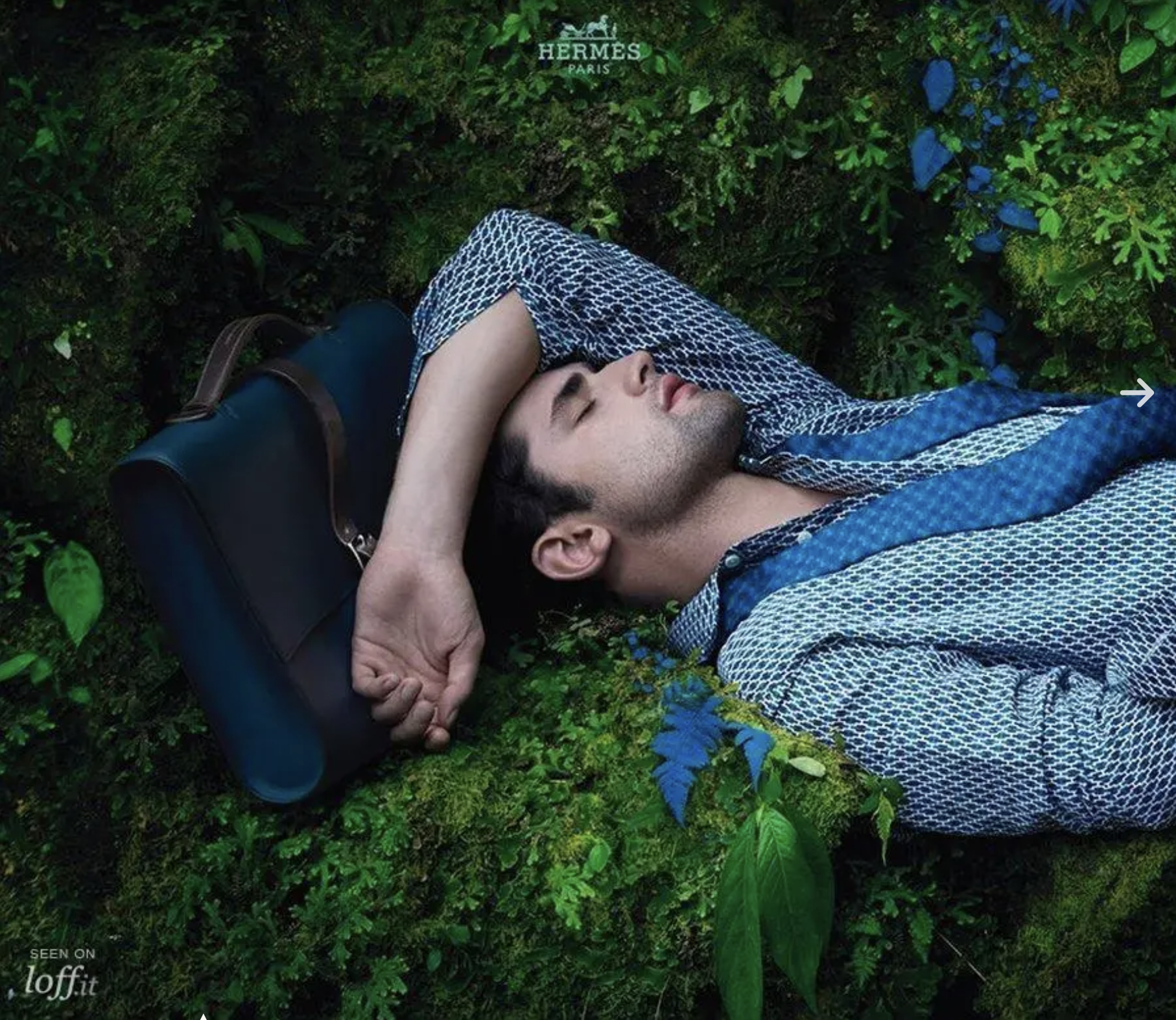 Hermes-Spring-Summer-2014-Campaign-by-Hans-Sylvester-10.png