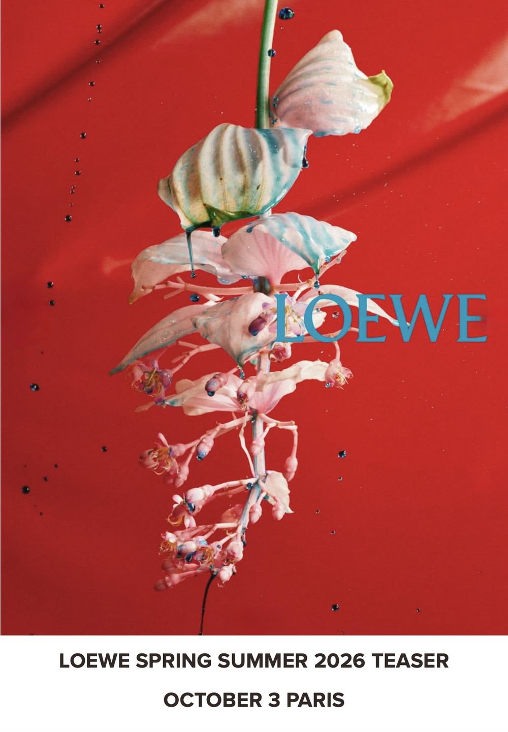 LOEWE-SPRING-2026-TEASER-