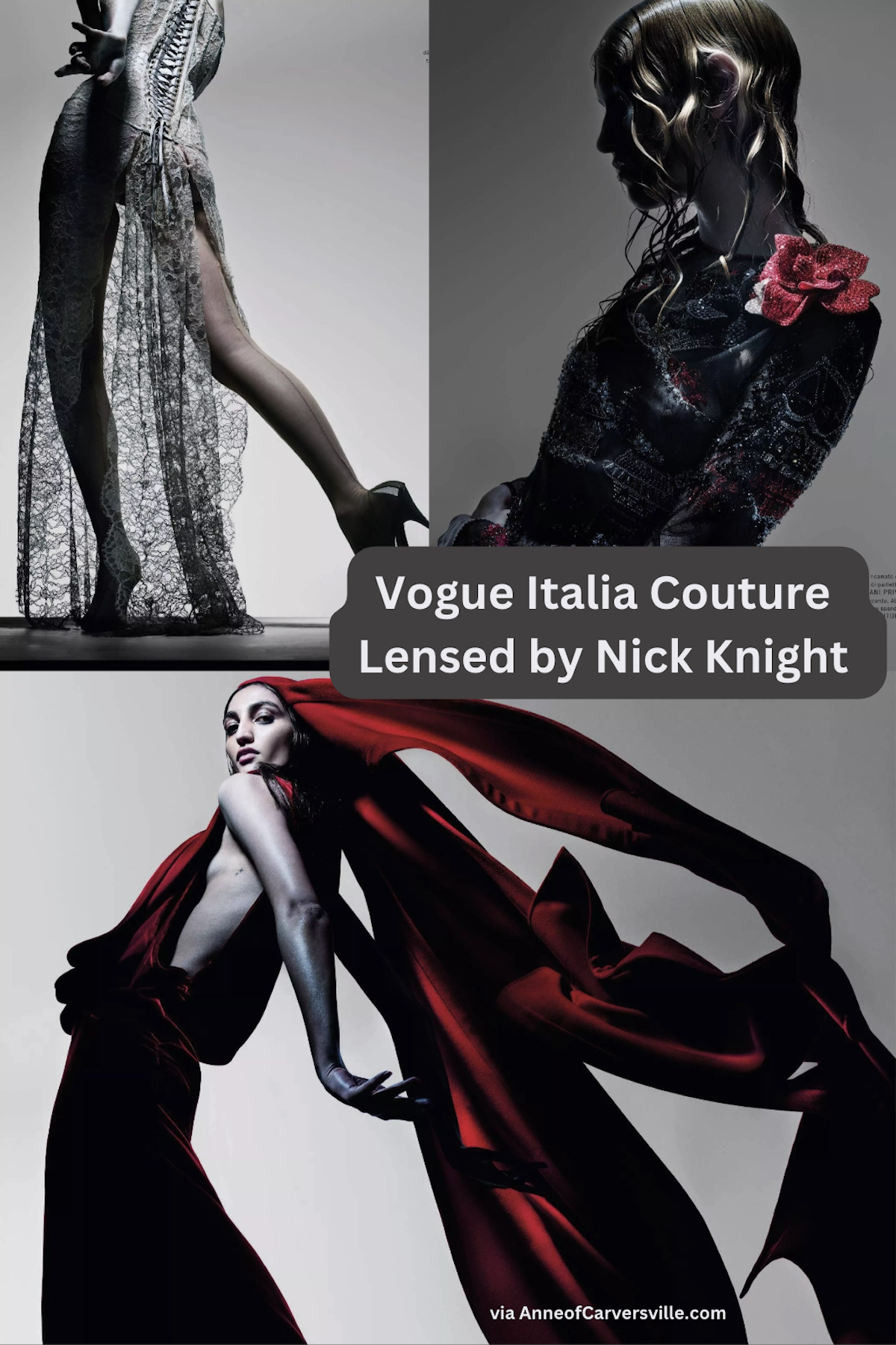 Nick Knight — Daily Excerpts New Posts