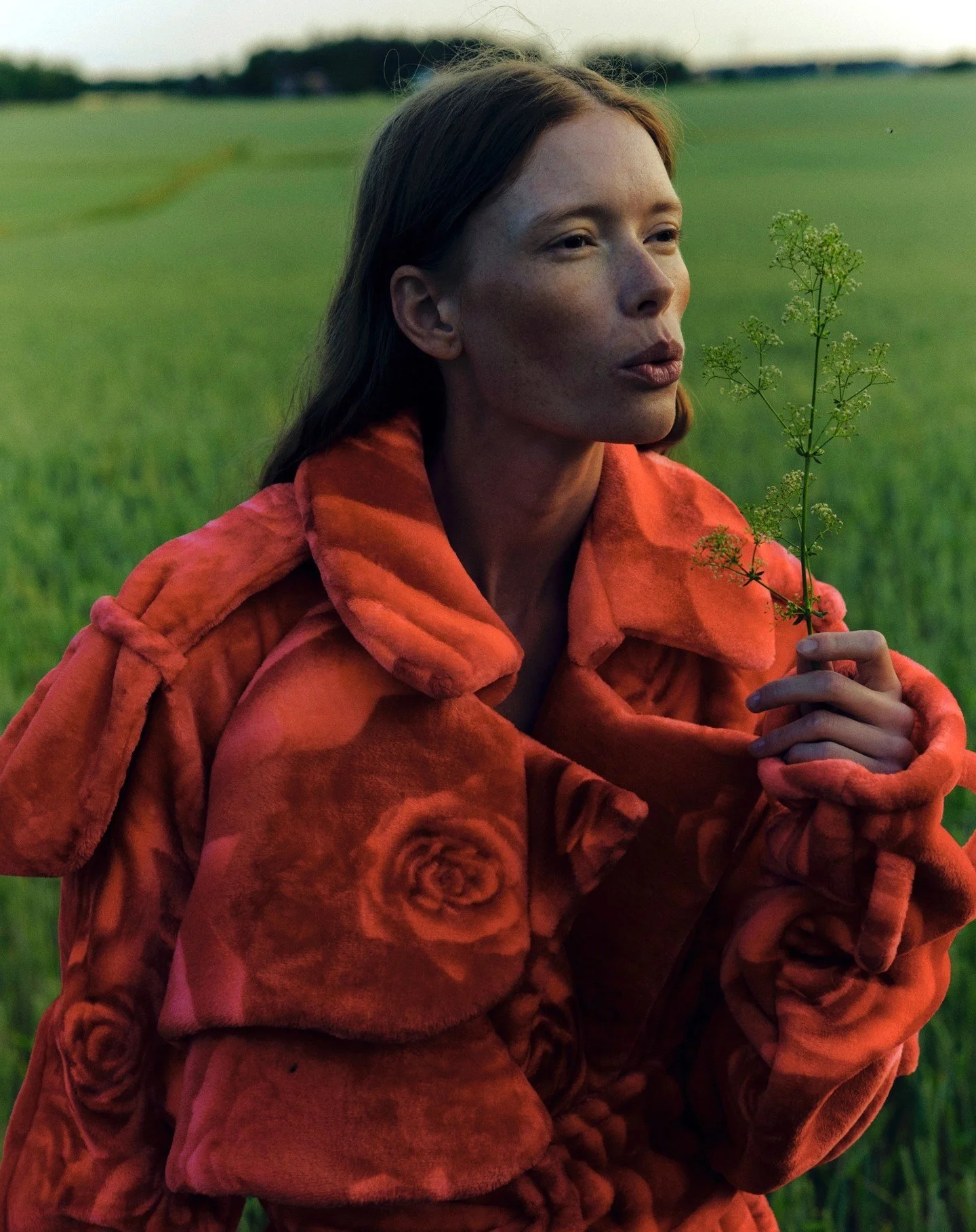 Vogue Scandinavia ‘Lady in Falu Röd’ by Angelina Bergenwall — Anne of ...