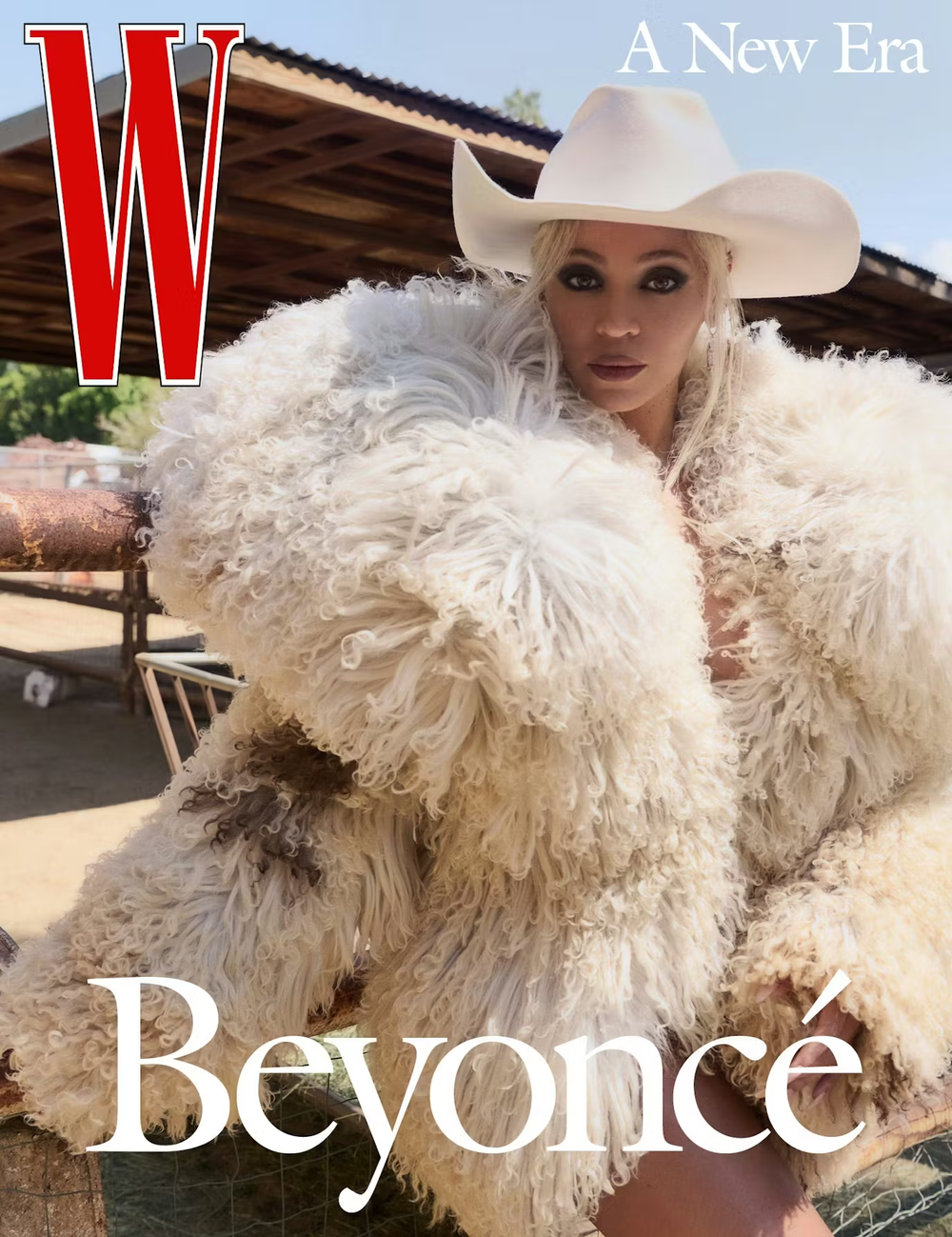 Beyoncé's Western Luxury in W Magazine by Pamela Hanson — Anne of ...