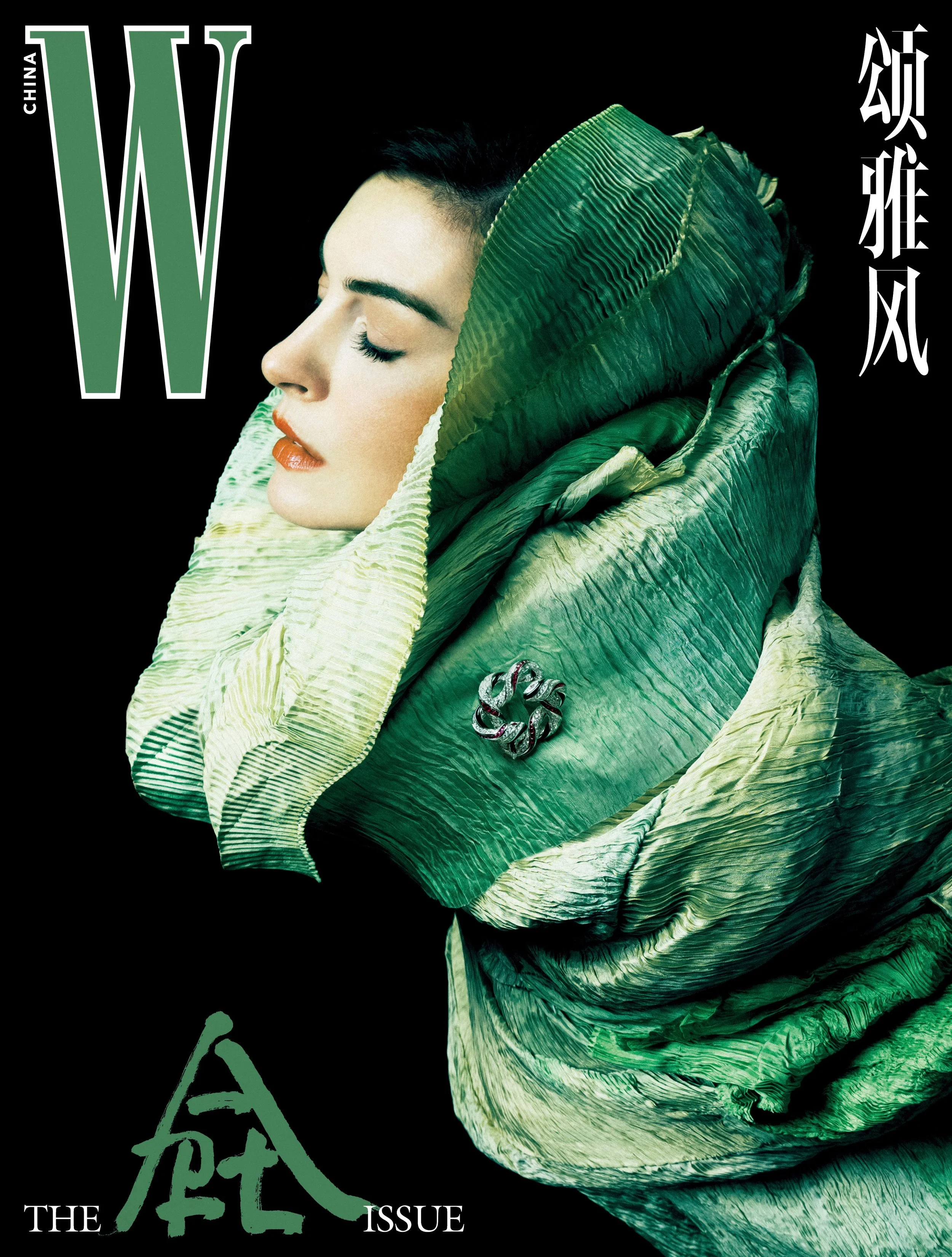 Anne-Hathaway-by-Zhong-Lin-W-Magazine-Ch