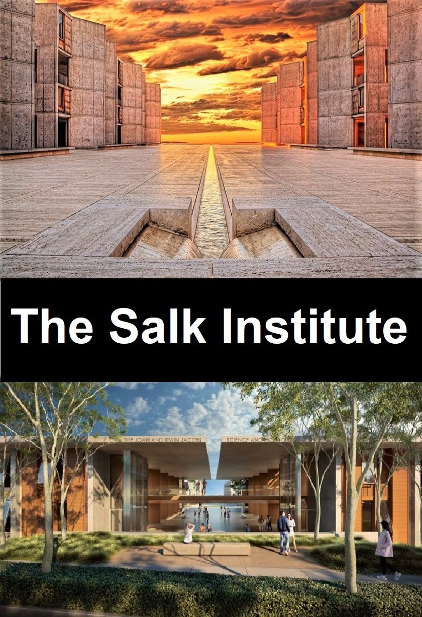 Salk Institute hosts Louis Vuitton fashion show - Salk Institute for  Biological Studies