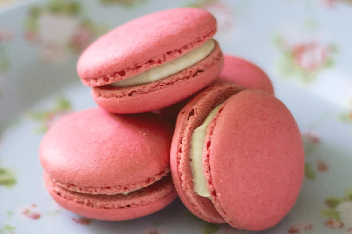 Pink_Macaroons_web.jpg