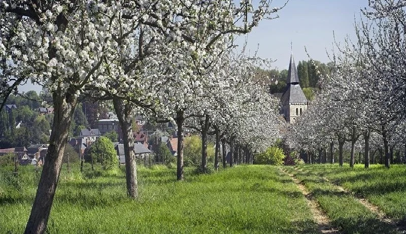 Cambremer-La-route-du-cidre.jpeg
