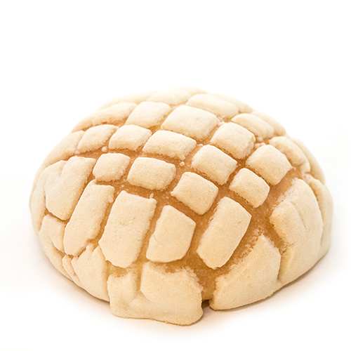 Conchas blanca