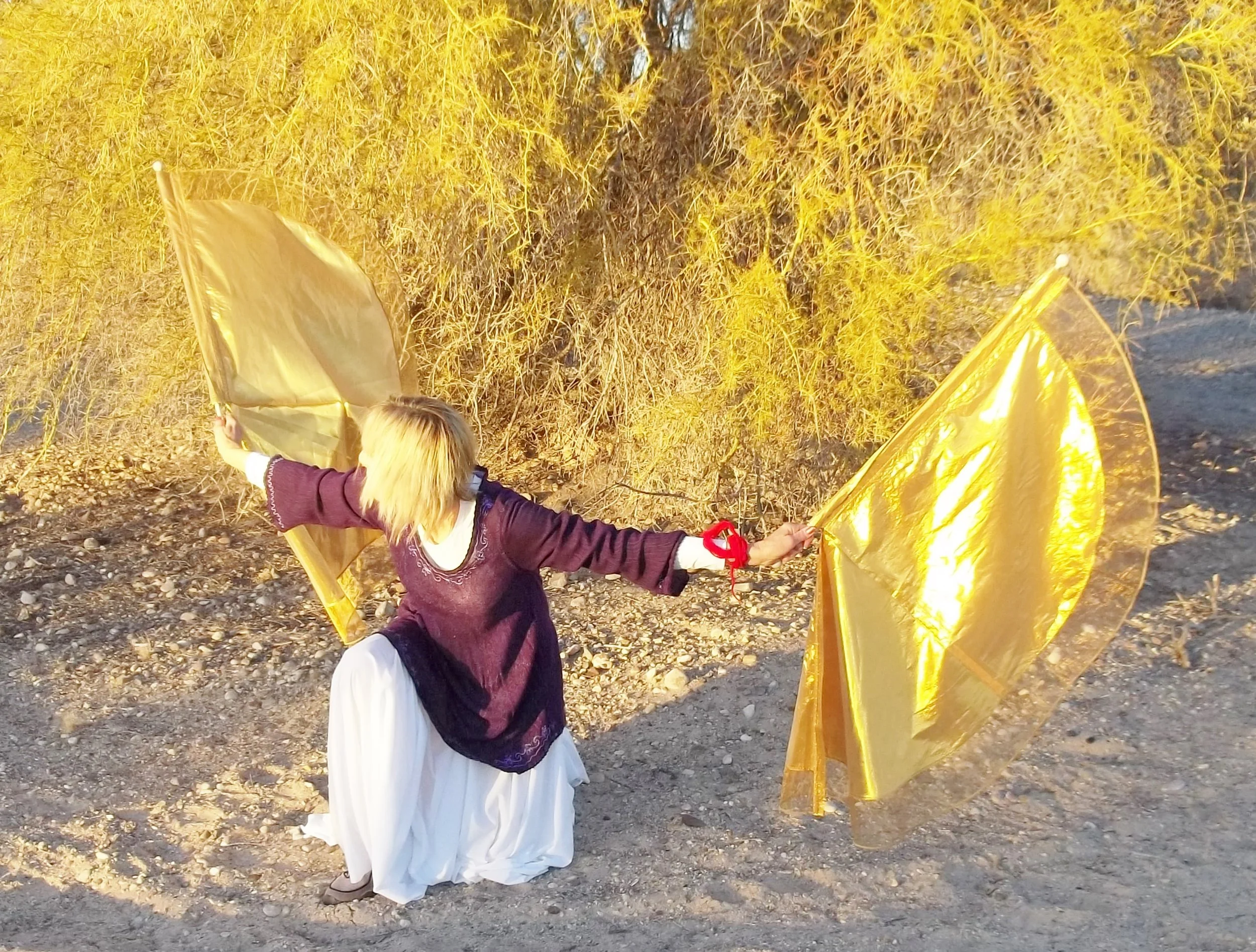 Burning Bush! Burning Bush Flags. Court Line...12.18.15.JPG