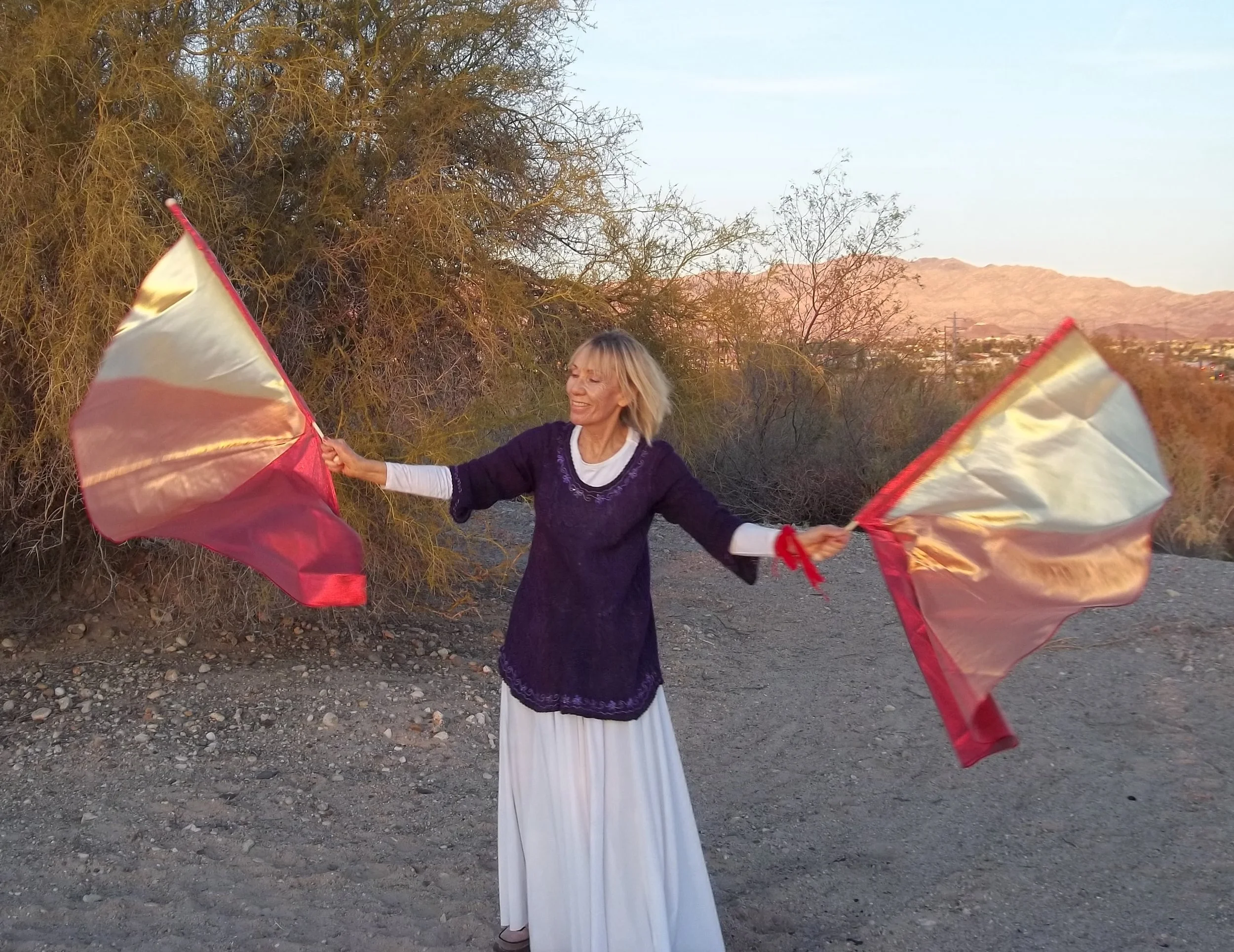 Lift our Praise! Wall of Fire flags. Trinity line....12.18.15.JPG