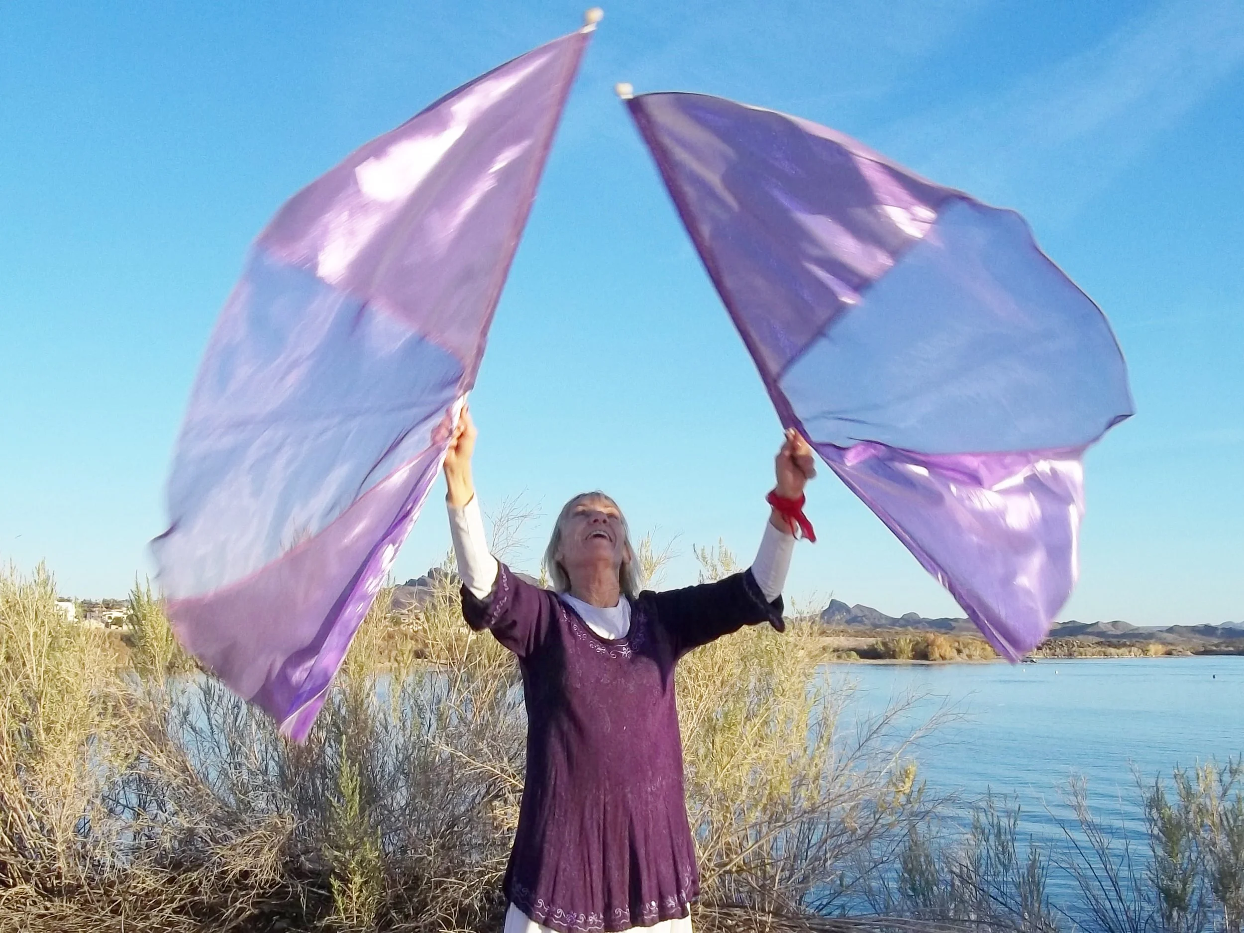 Sing for Joy! Abundant Majesty Flags. Trinity Line. 12.18.15.JPG