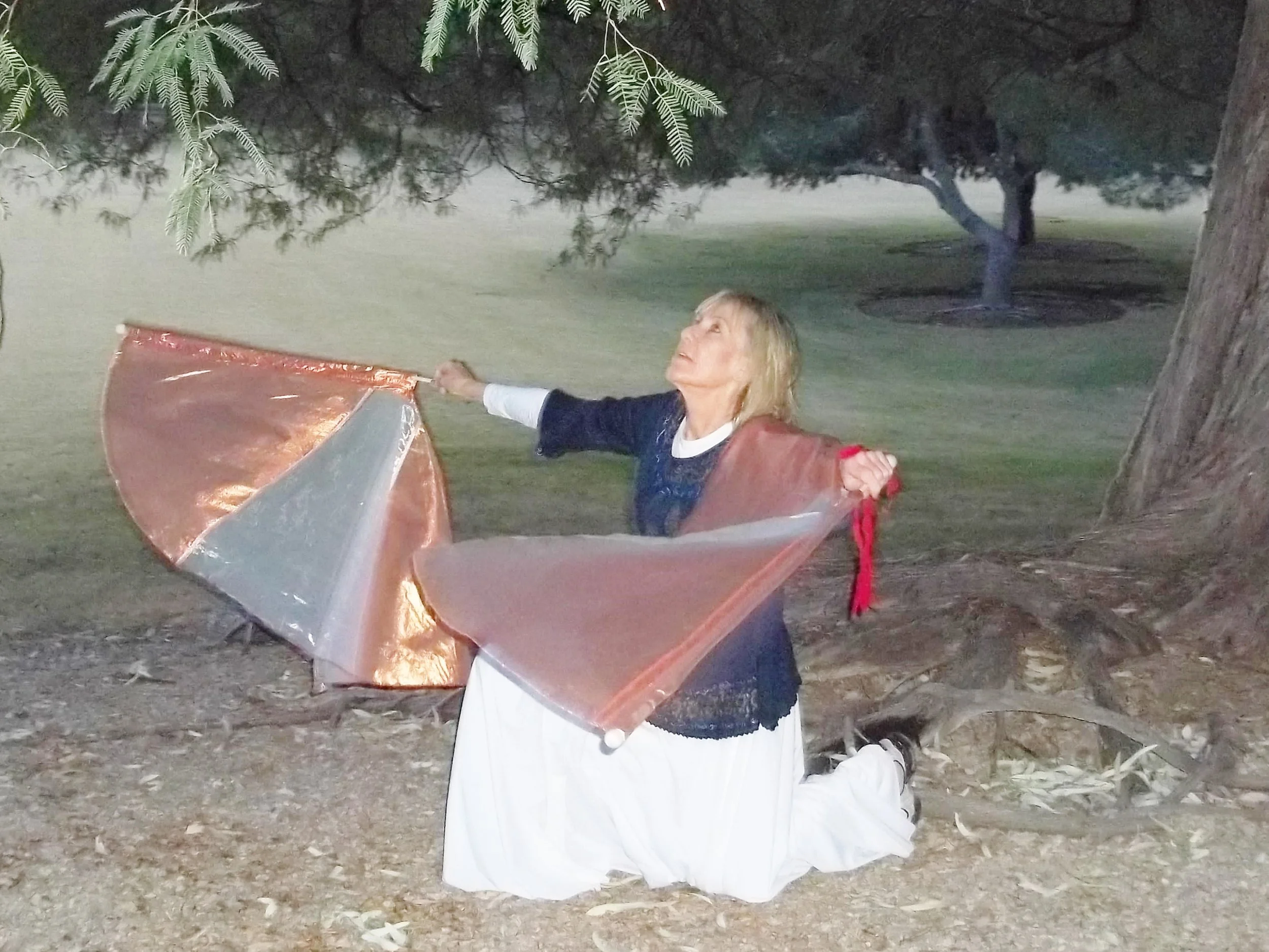 Touching Heaven! Kingdom Glory Flags.....12.10.15.JPG