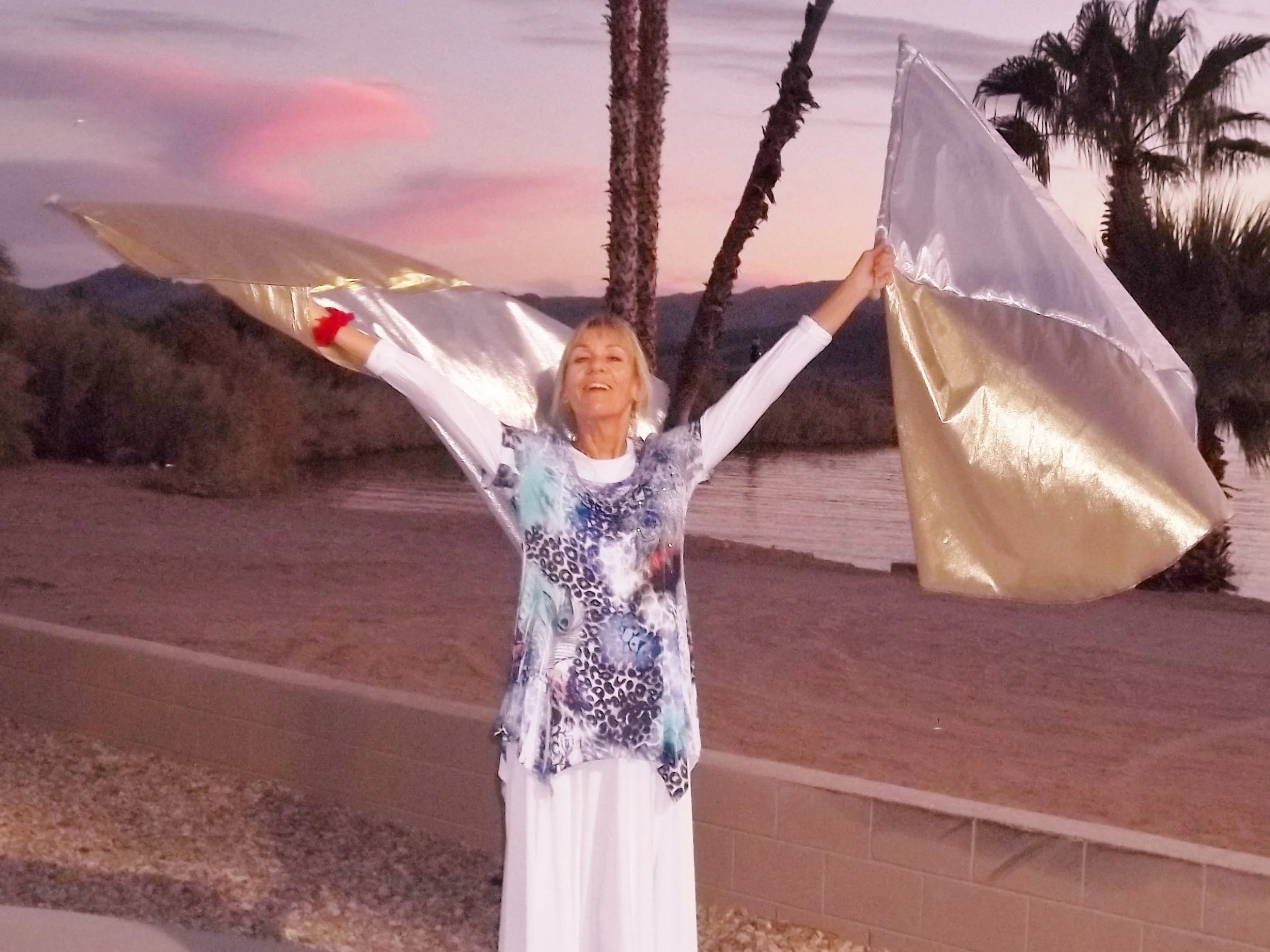 Your Beauty! Semi Circle Gold& Silver Flags 10.15.14.JPG