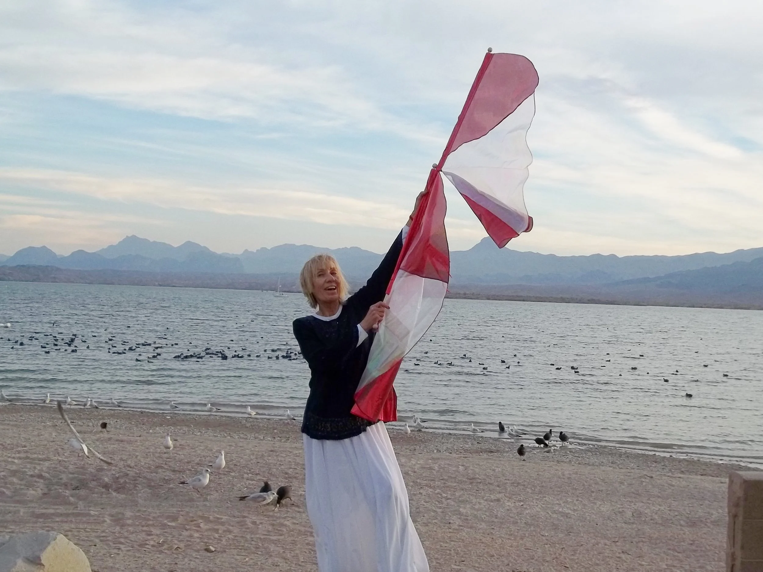 Joy to the world ! Fire of Heaven Flags. Trinity Line. 12.10.15.JPG