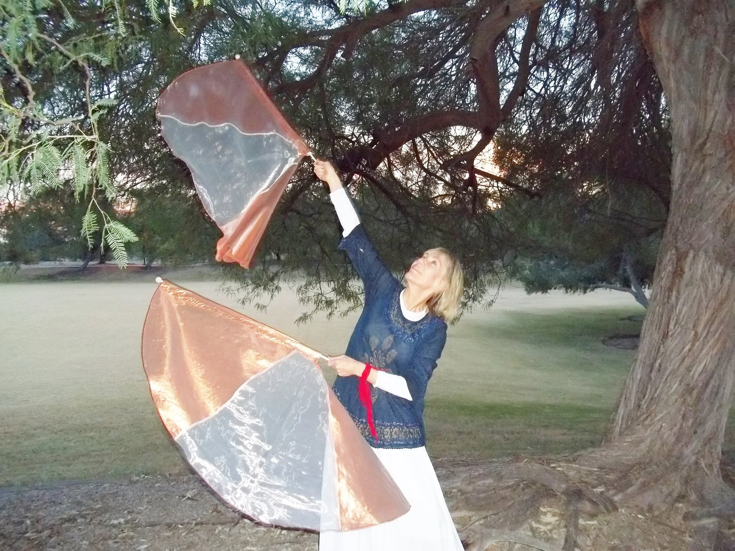 How Great ! Kingdome Glory Flags. Trinity Line....12.10.15.JPG