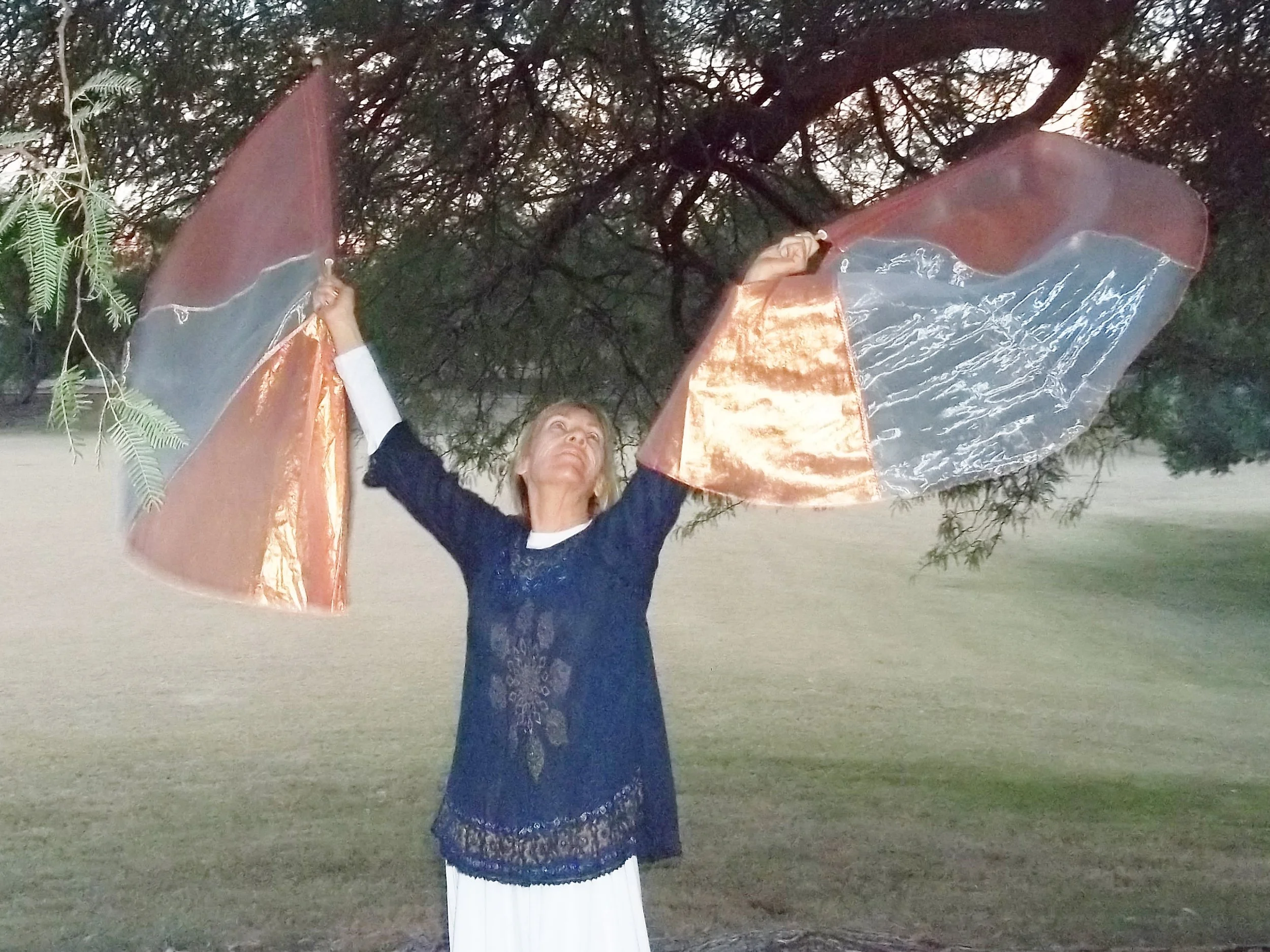 You are Desire! United Strength fags....Trininty Line.12.10.15.JPG