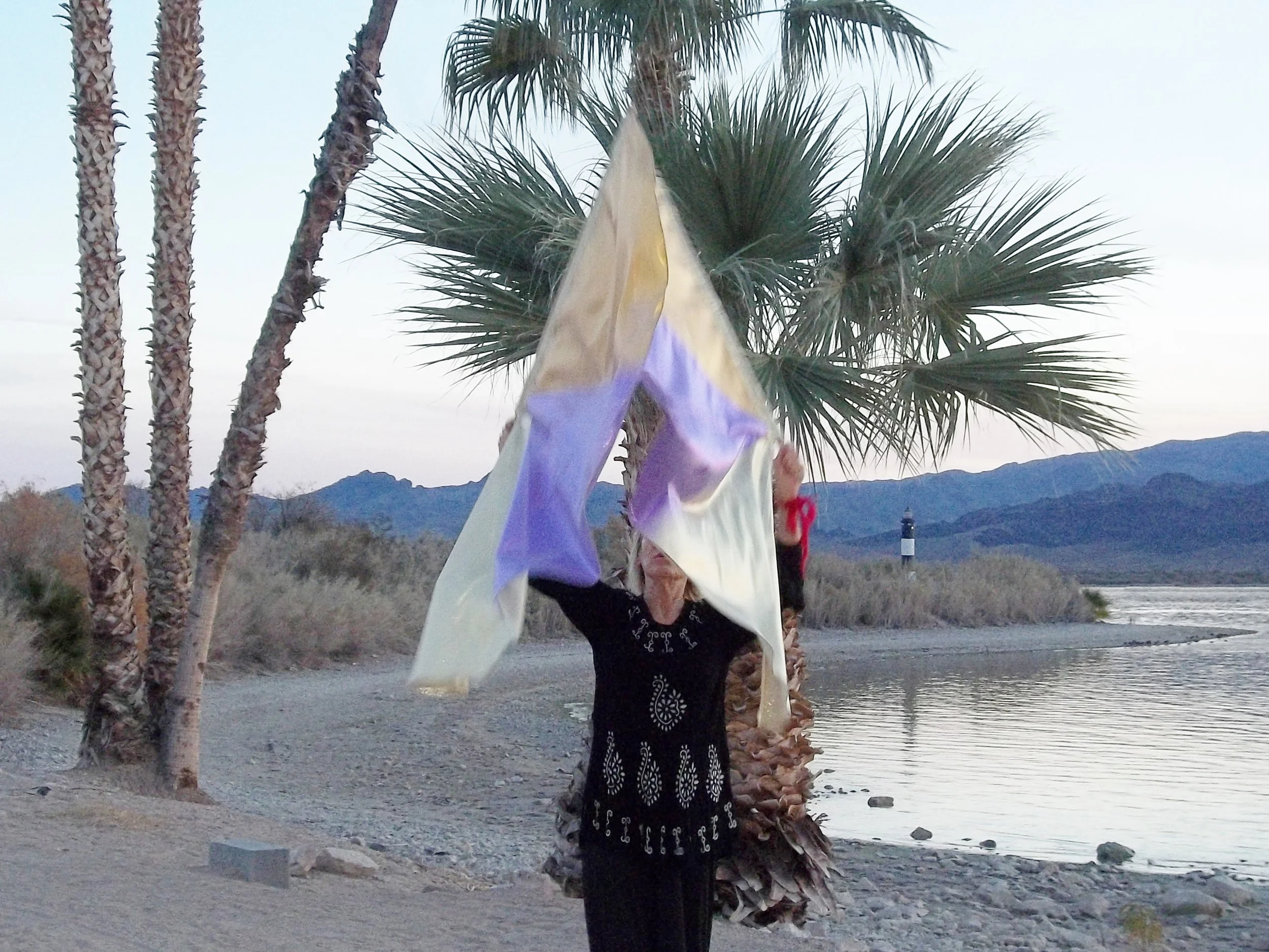 We Crown You ! Call to Arms  Flags....Worship & Warfare line..12.4.16.108.17.JPG