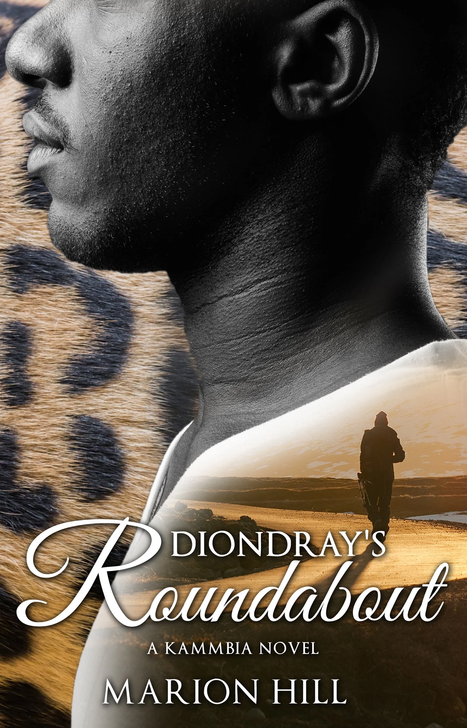DiondraysRoundabout-eBook.jpg