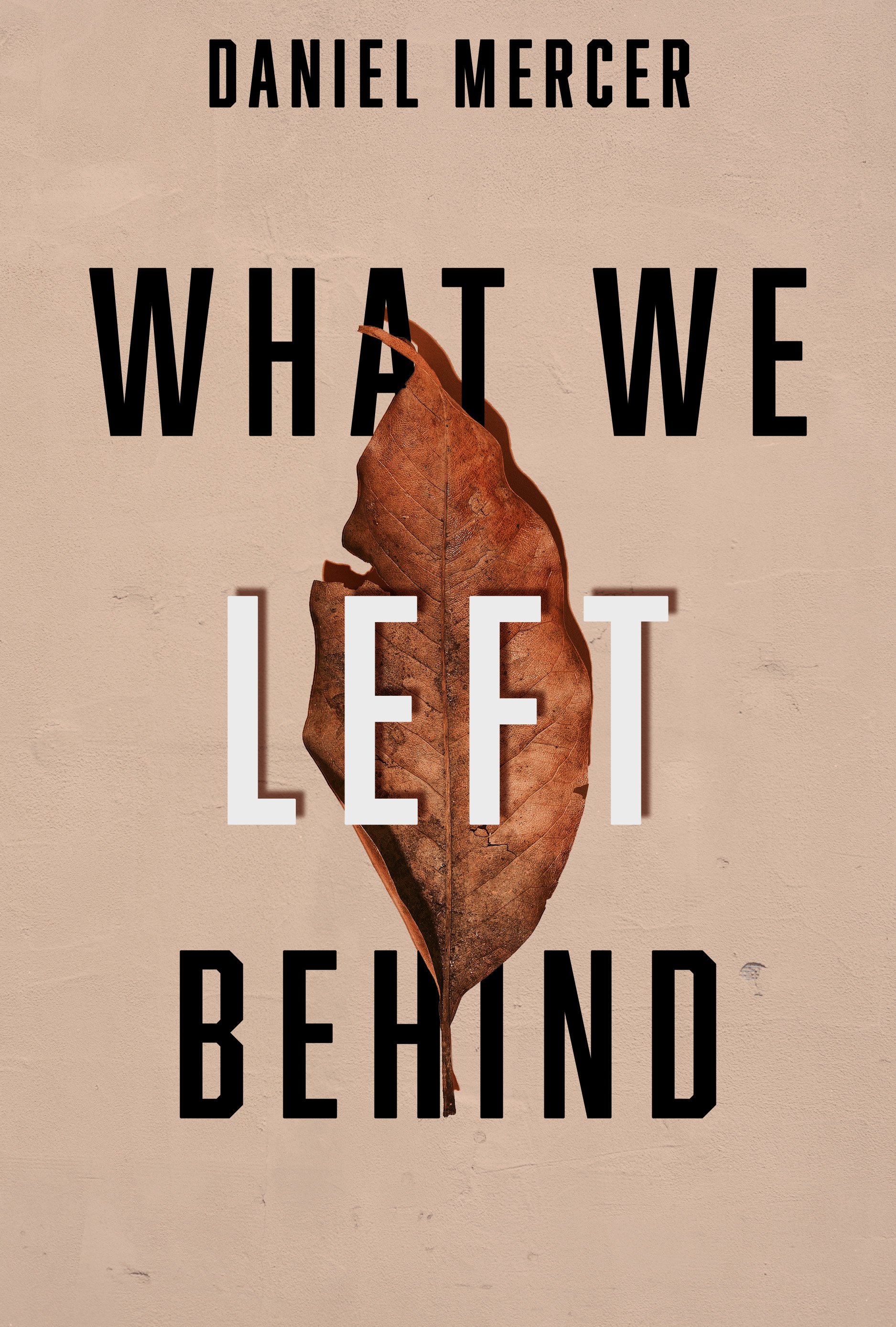 What_We_Left_Behind.jpg