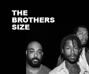 BROS SIZE IMAGE300 x 250.jpg
