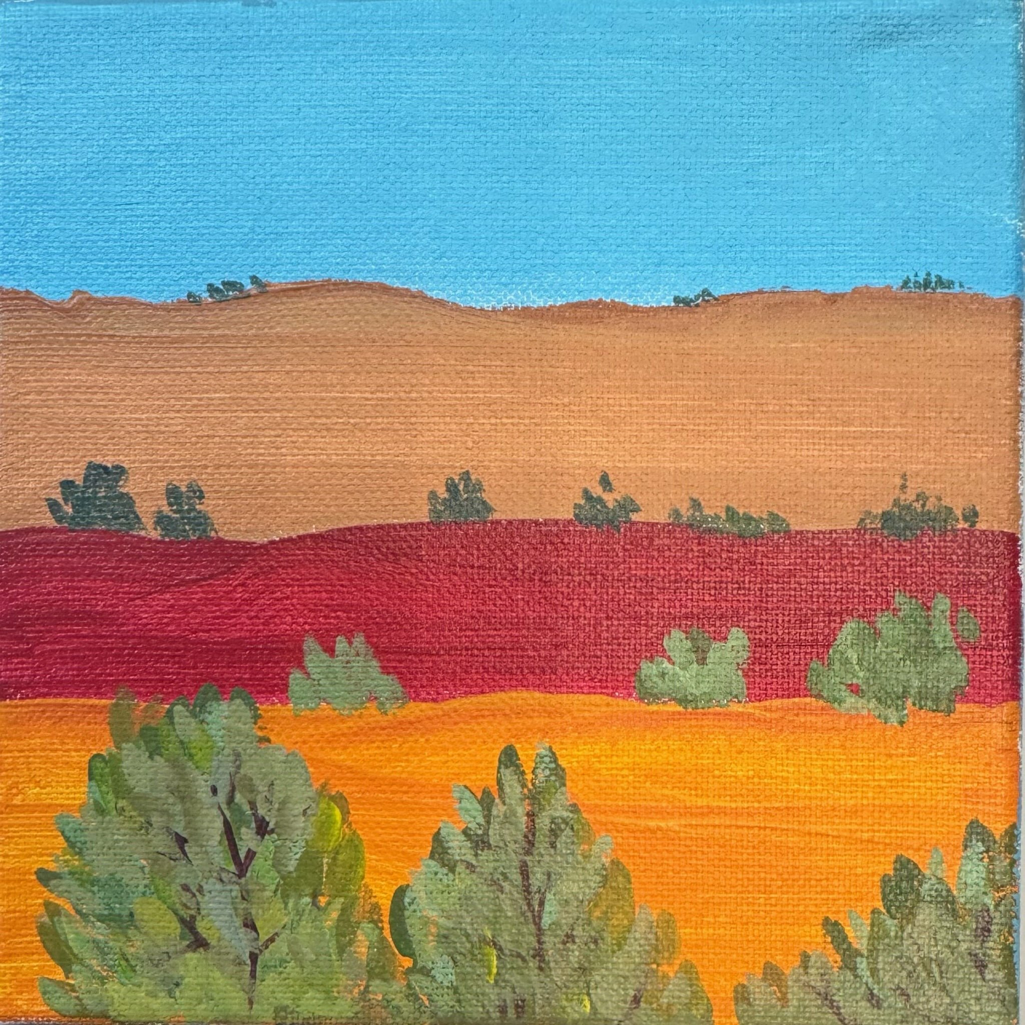 NM Desert