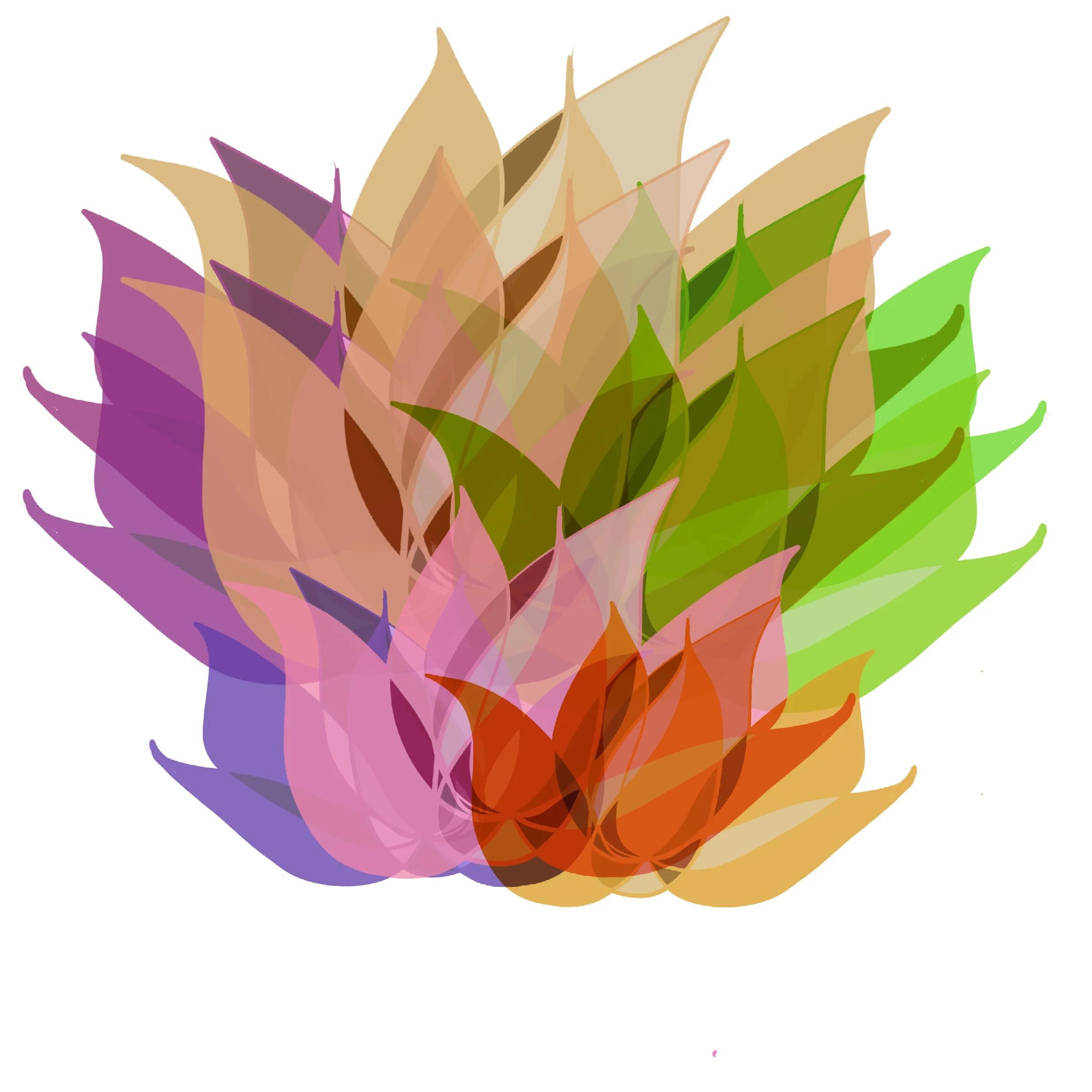 Tesia Blackburn “Blooming Lotus”