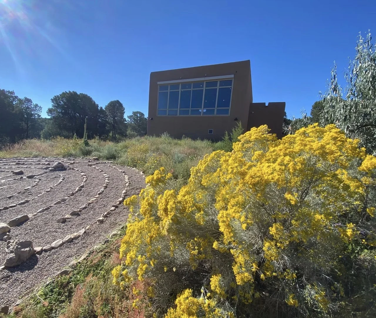 Image 11-21-25 at 2.00 PM.jpg