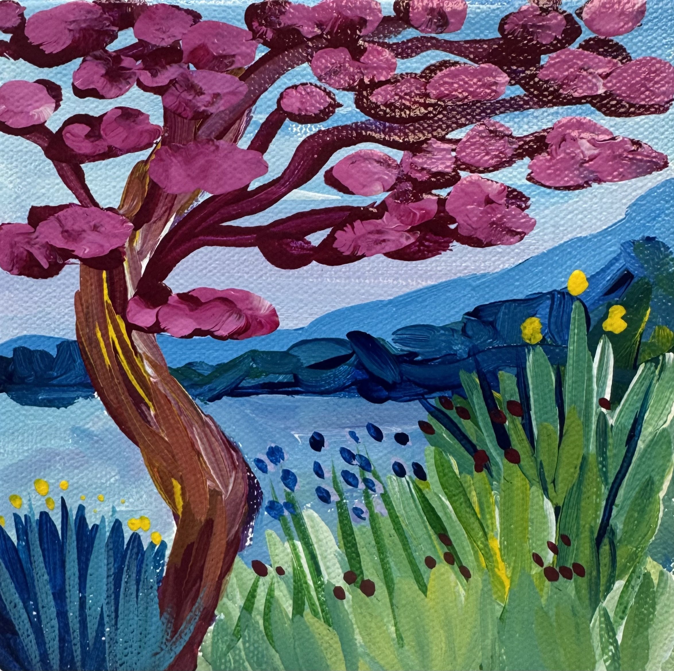 Pink Cypress
