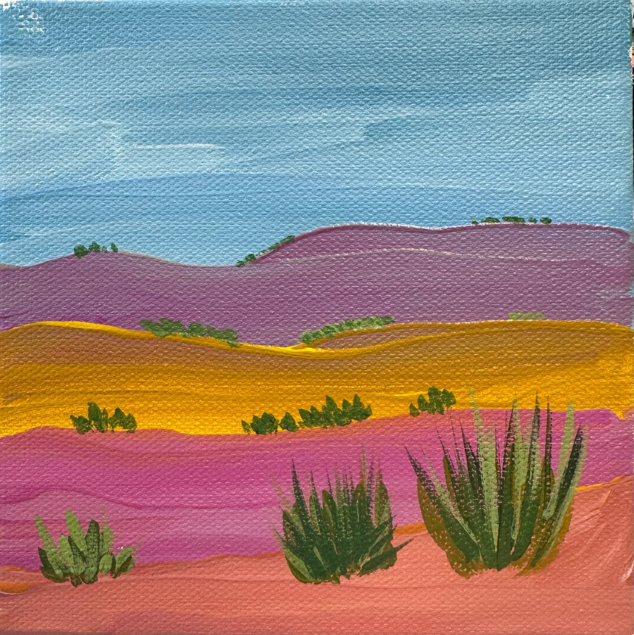 New Mexico Hills