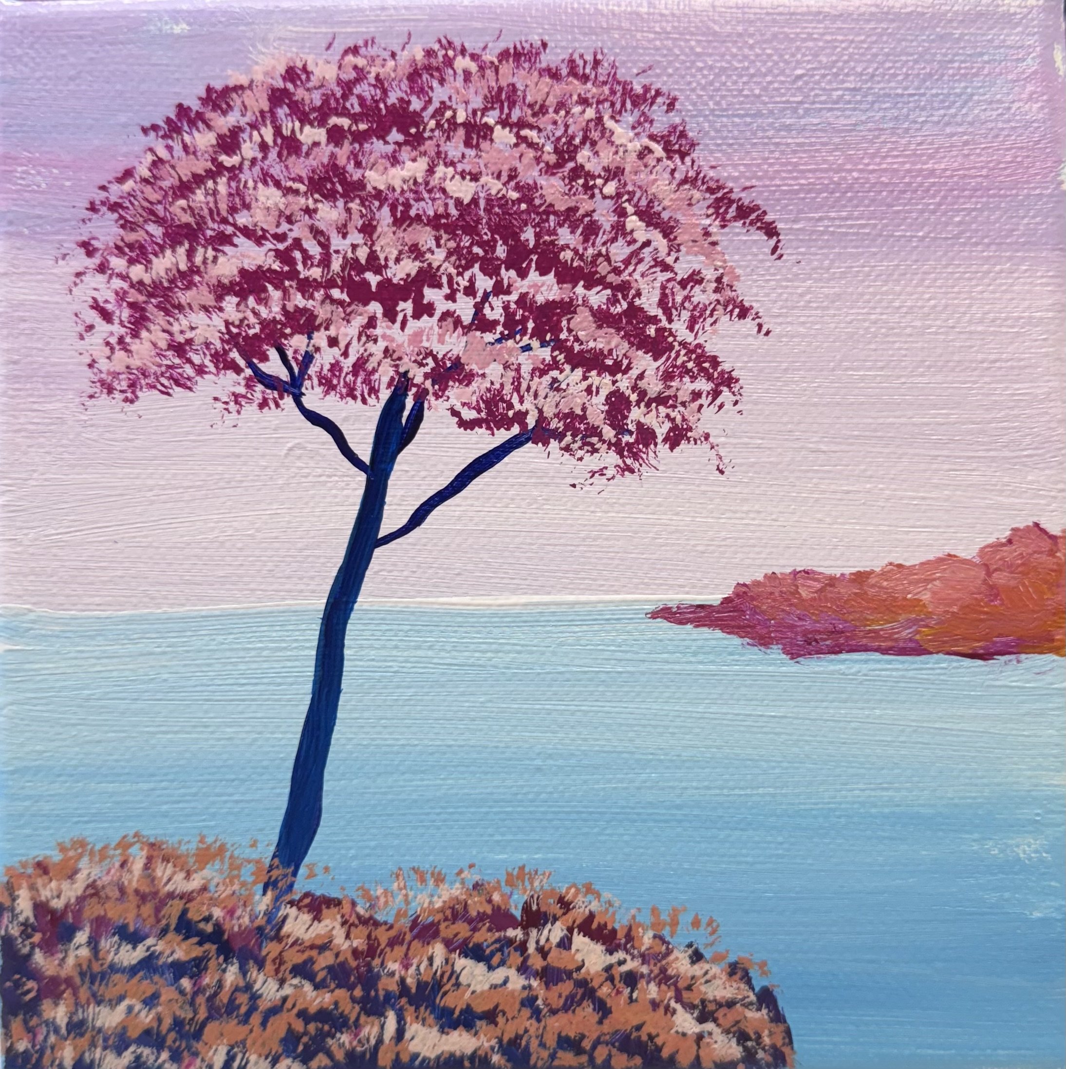 Pink Tree By The Ocean