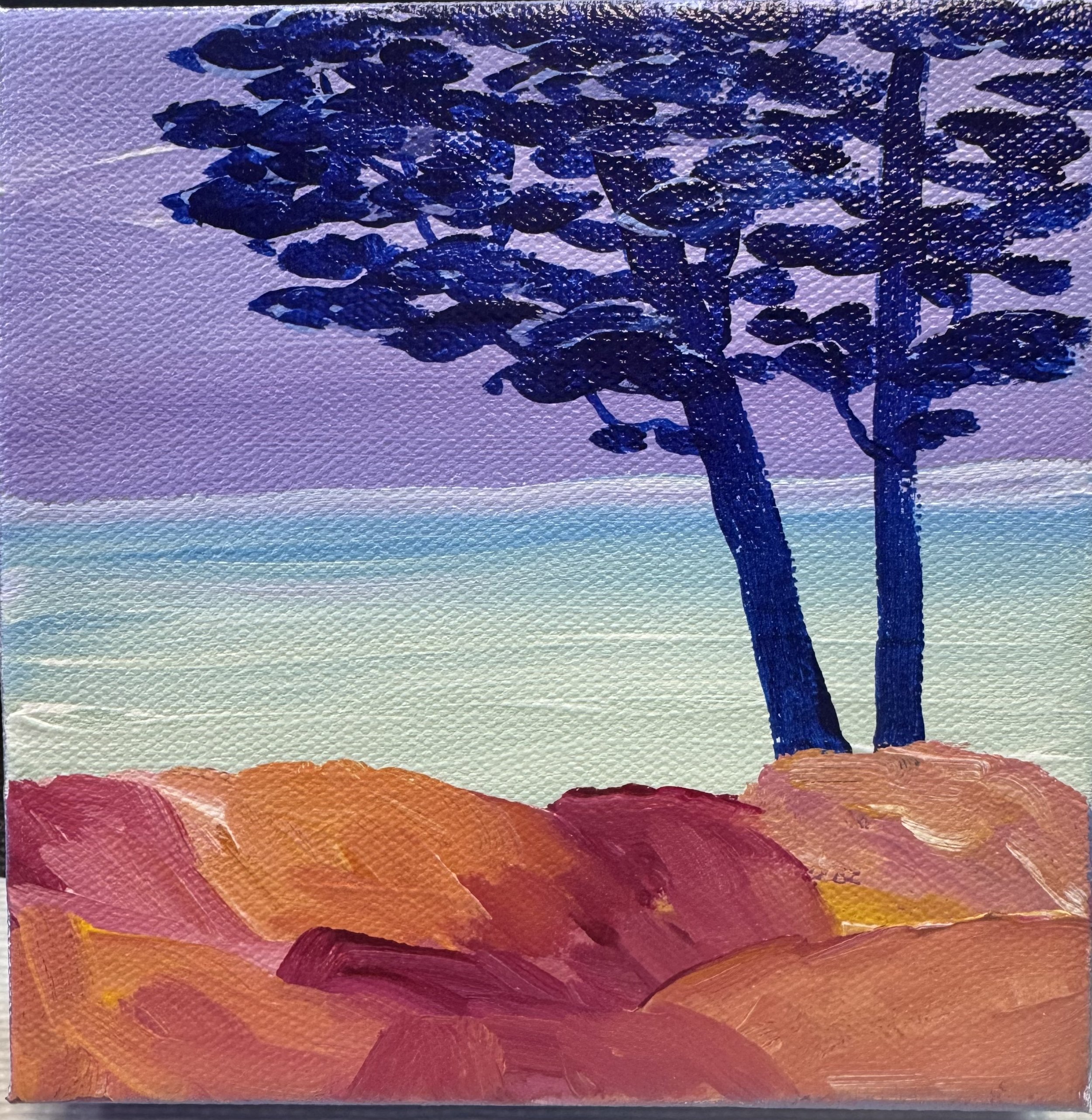 Blue Cypress