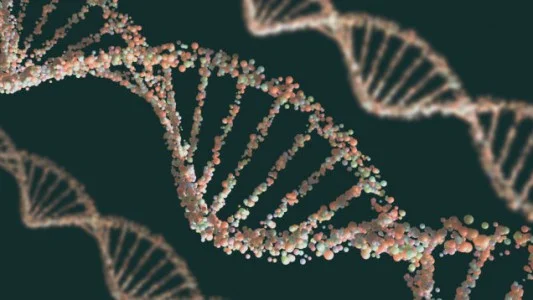 PAF: Gene Drive Report