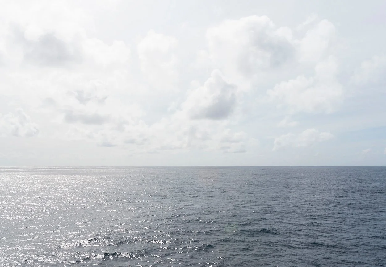 DSC_7423.jpg