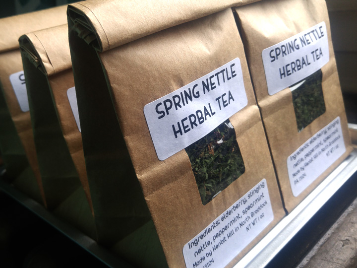 springteanettle.jpg